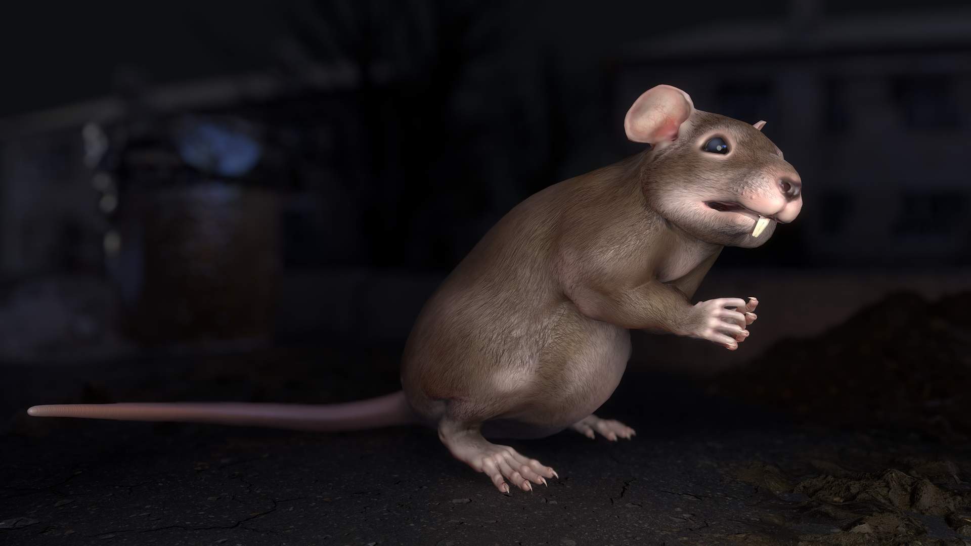 Common Fat Rat Model By Game Ready Studios
