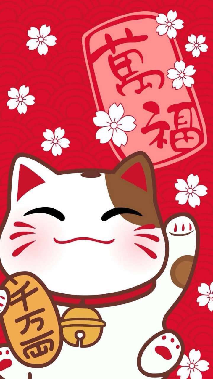Lucky cat