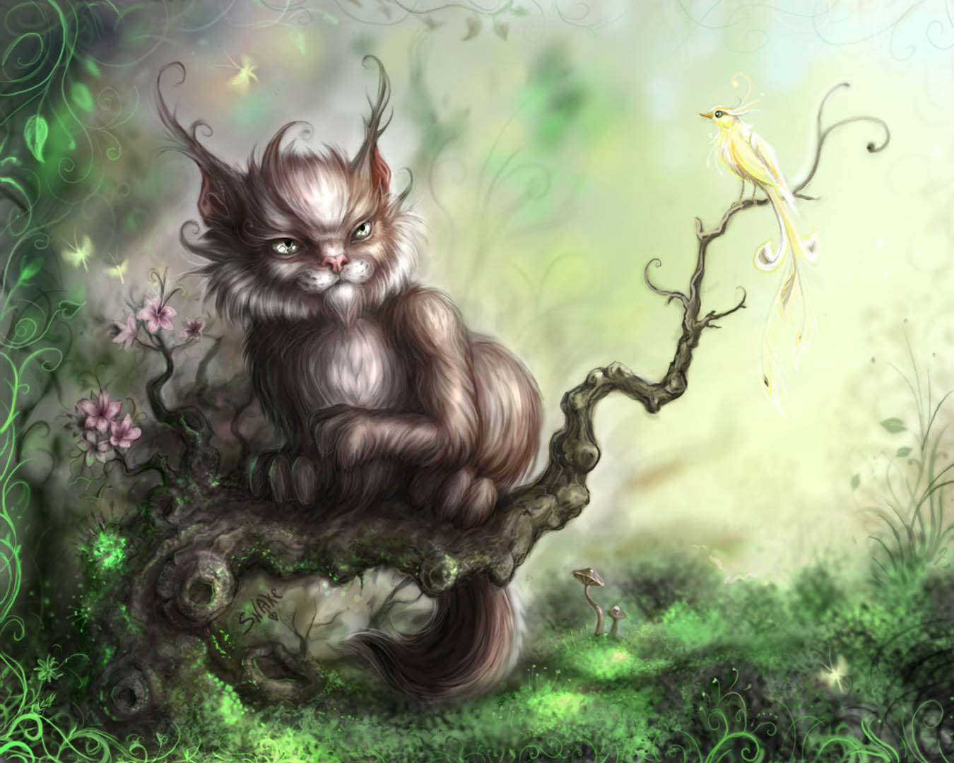 Wise Chinese Cat