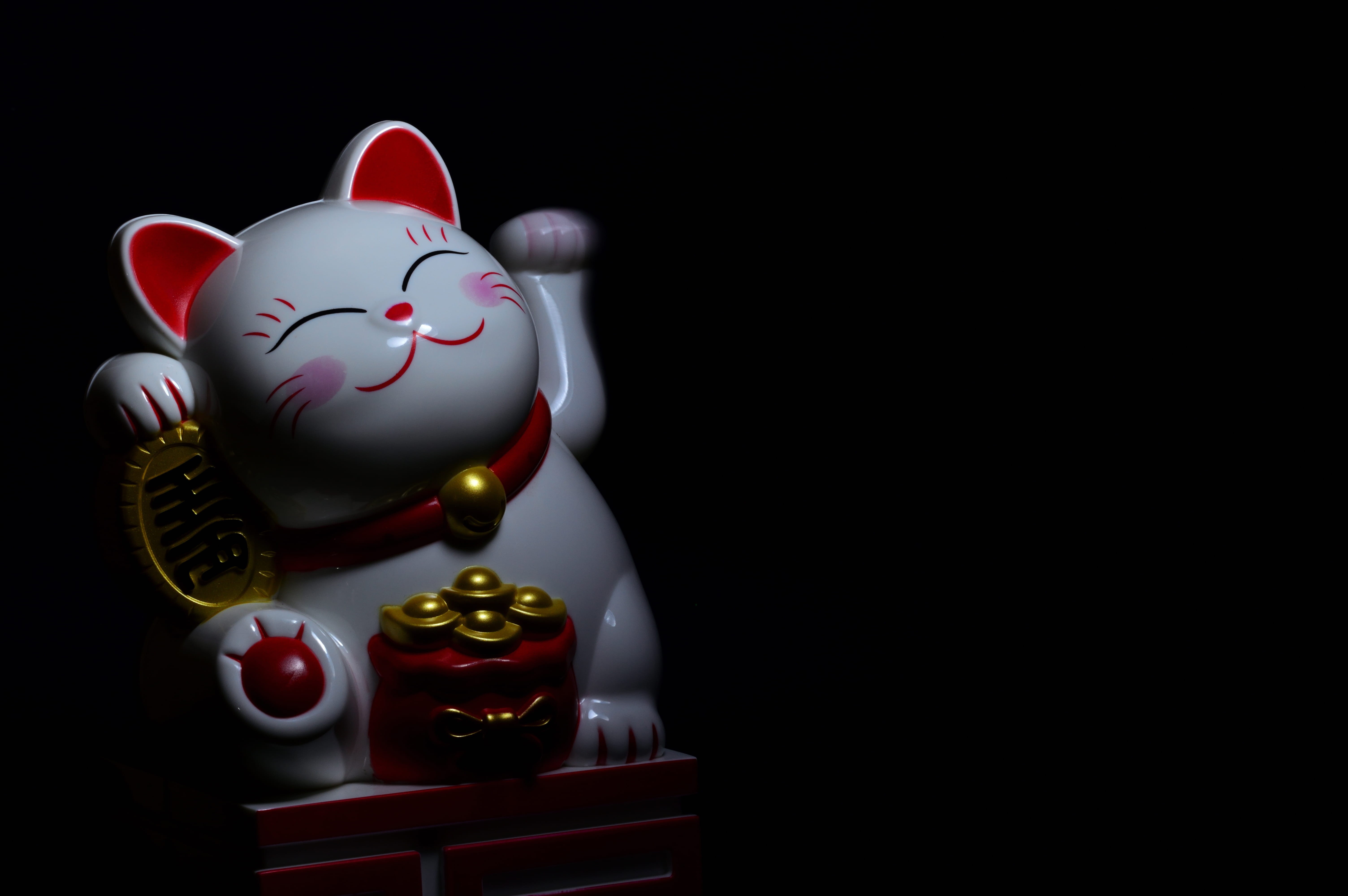 Wallpaper / finance, red, animal representation, cat, depression, no people, cute, black background, gold, copy space, still life, indoors, golden, paw, photo free download