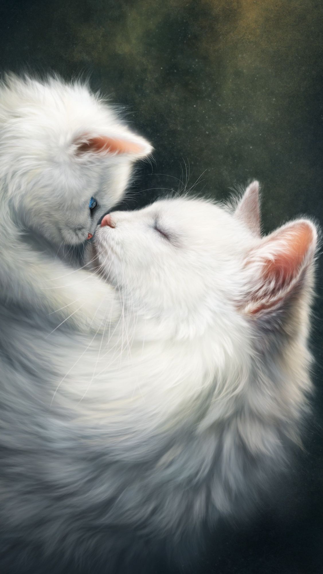 inspire #think #quote #freedom #transformation. Cat aesthetic, Angora cats, Cat wallpaper