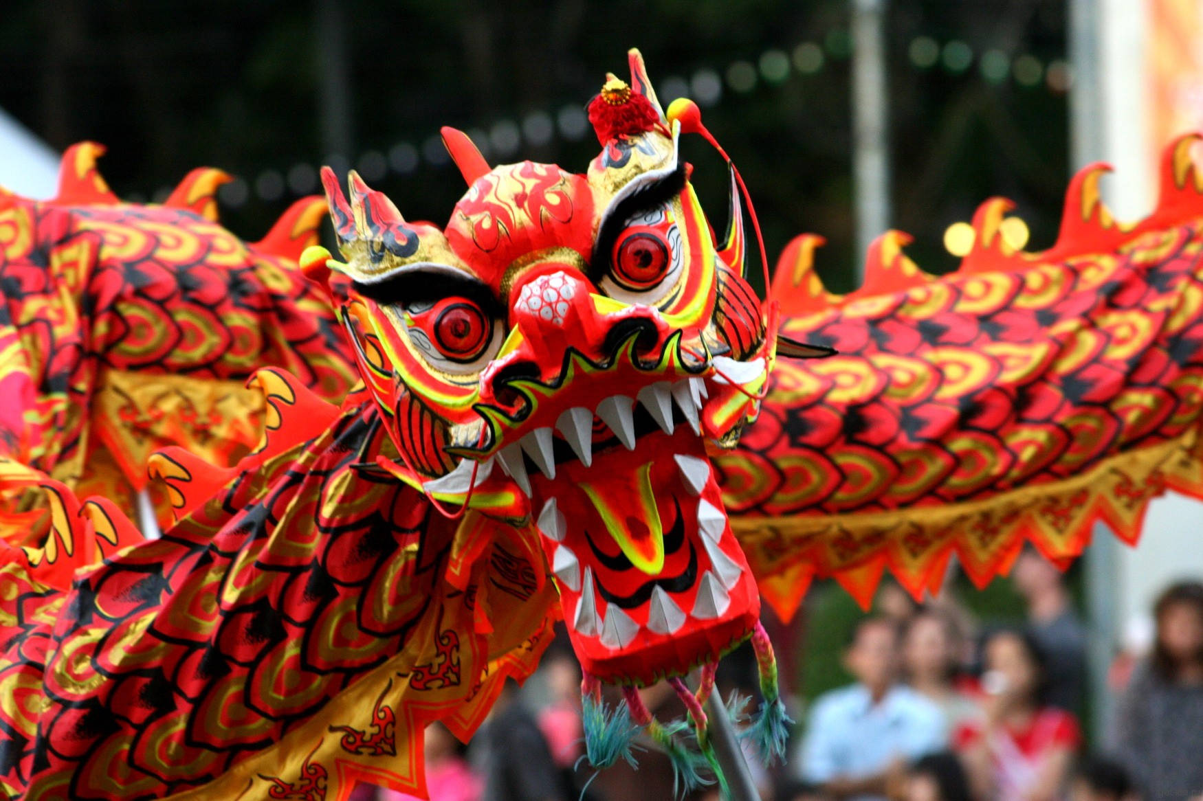 Chinese New Year Wallpaper