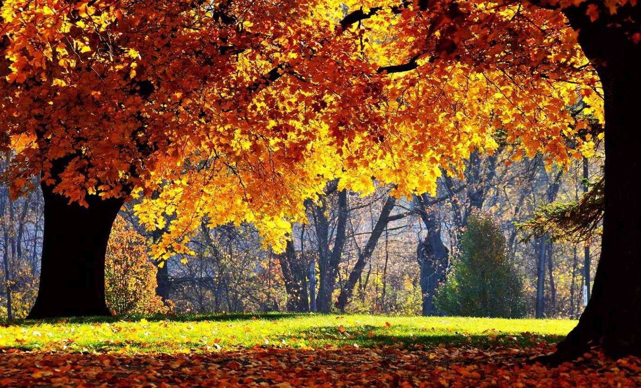 Best Free Autumn Wallpaper Tech Edvocate