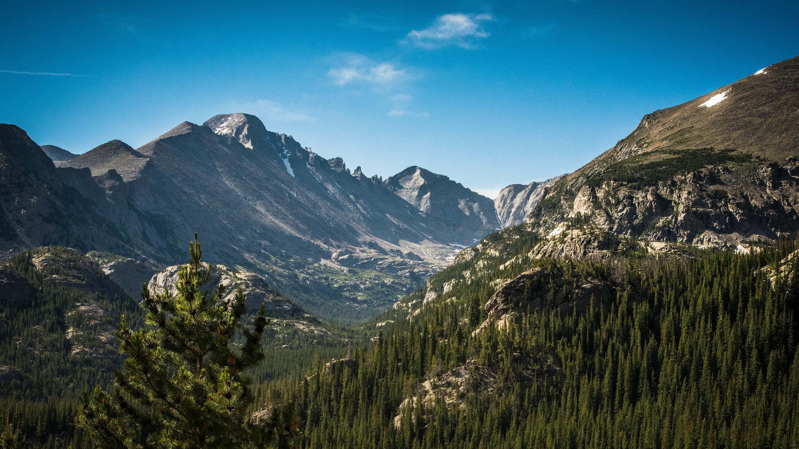 Wallpaper / the mountains and forest of estes park, rocky mountain valley 4k wallpaper free download