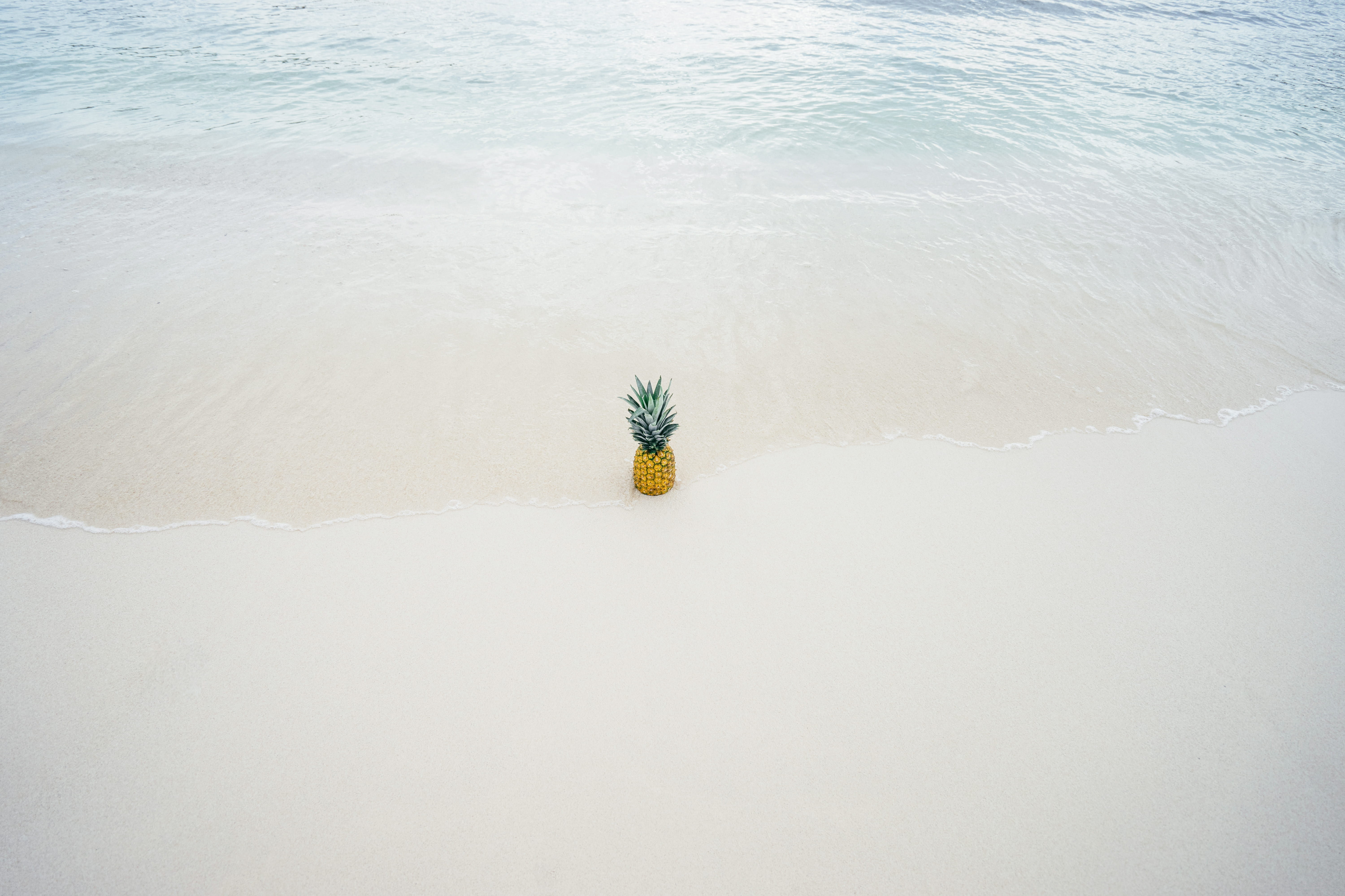 Wallpaper / tide, snow, pineapple, seashore, summer wallpaper, white color, beach, sand, tropical, near, summer background, clean, environment, flower, ocean, wave free download