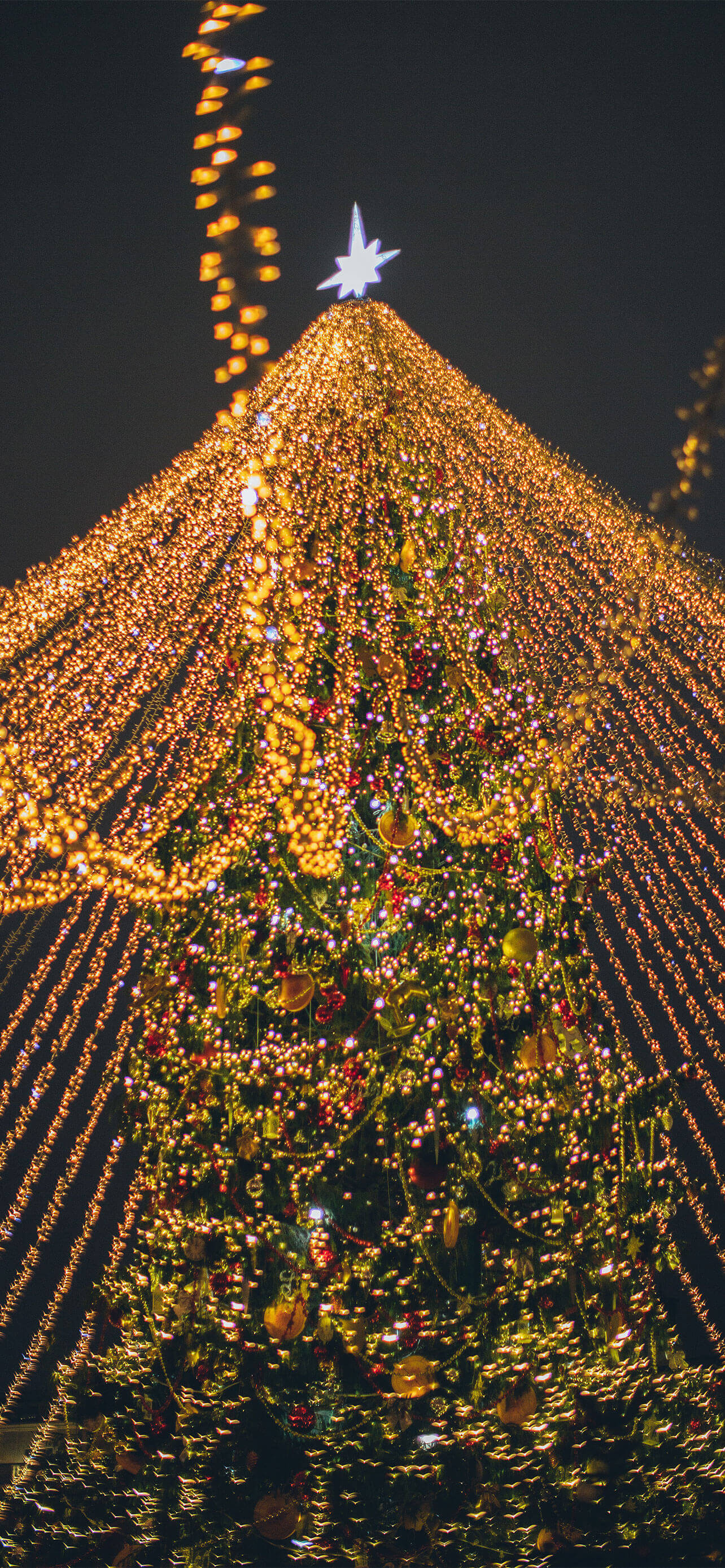 Beautiful iPhone 12 Pro Max Christmas