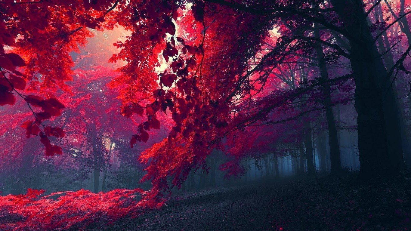 Nature Wallpapers 1366x768 (67+ pictures)