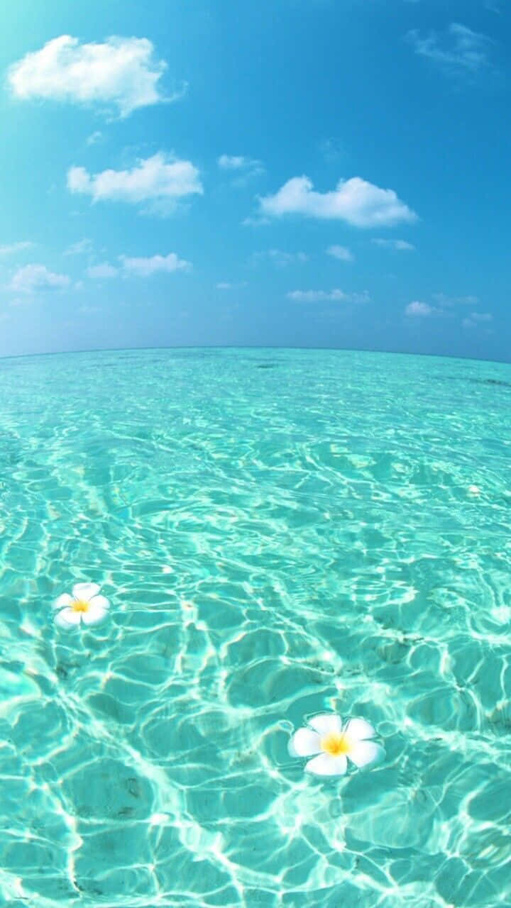 beautiful beach view! Wallpaper