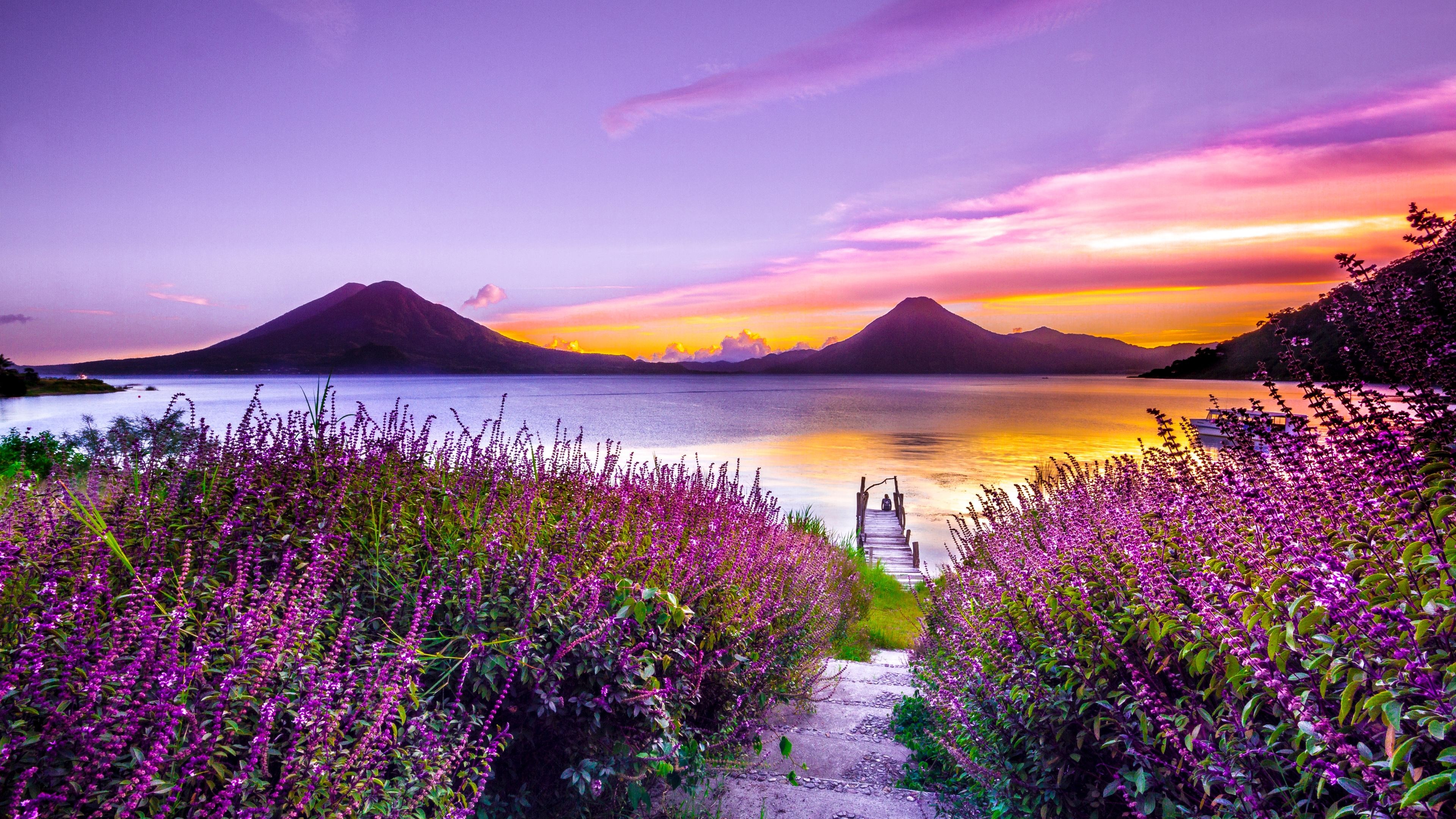Wallpaper 4k Volcano Sunset Flower Purple Dreamy Landscape 4k 5k Wallpaper