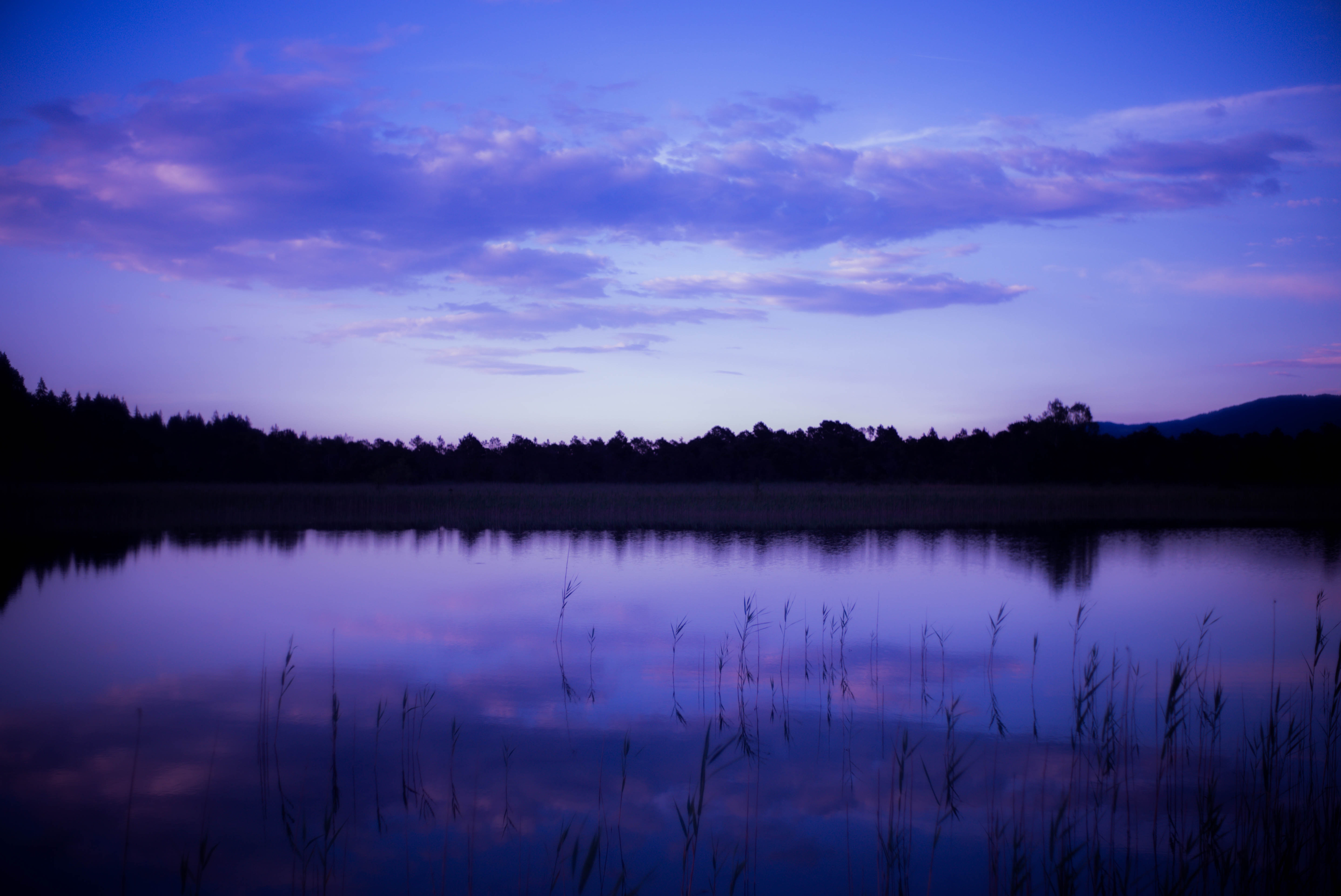 Purple Sky Photo, Download The BEST Free Purple Sky & HD Image