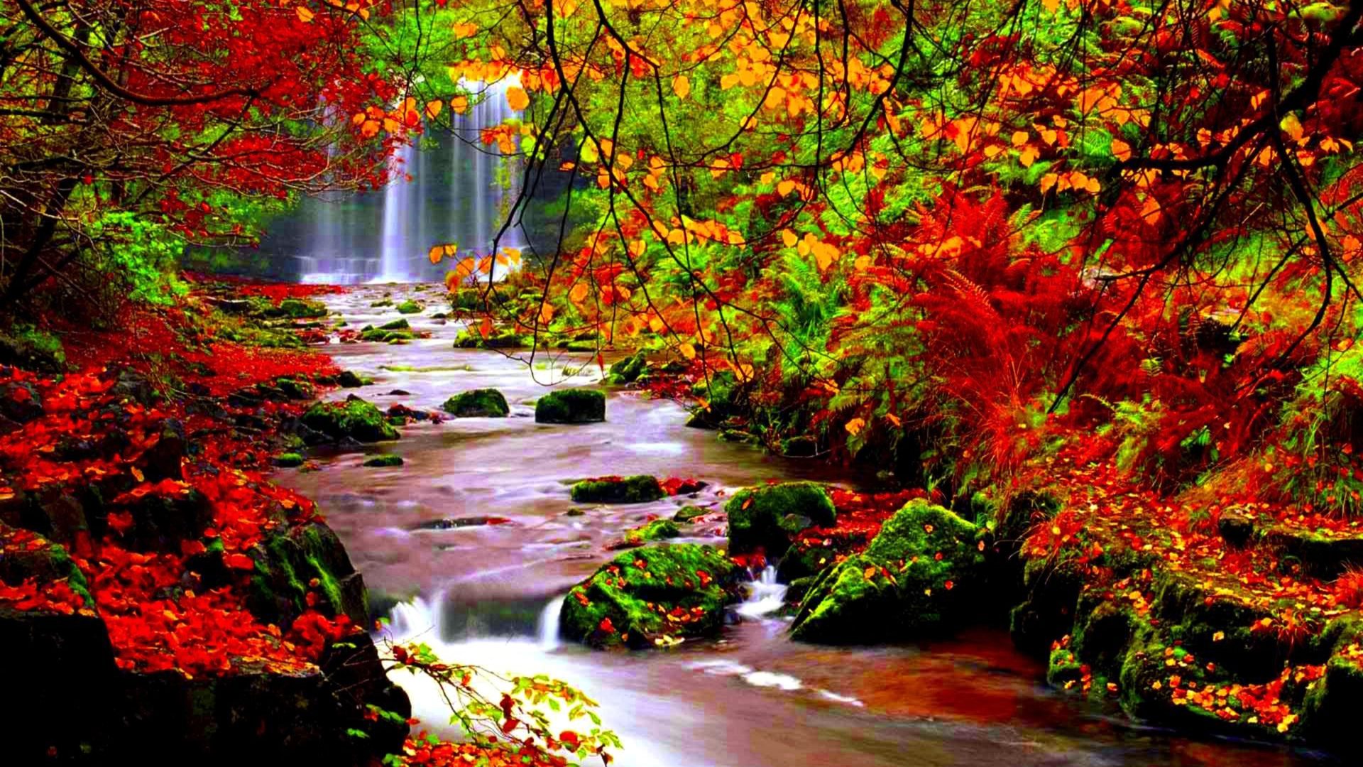 Autumn Scenery Stream River In Autumn Trees With Red Leaves Falling Leaves Desktop HD Wallpaper 2560x1600, Wallpaper13.com