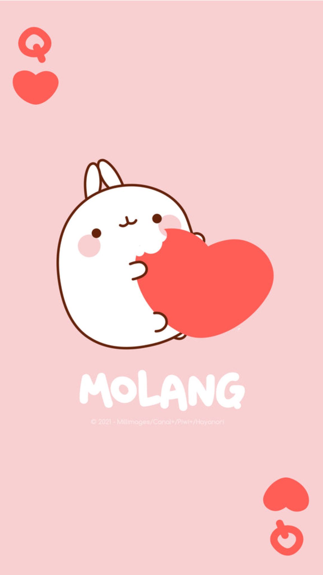 Molang Wallpaper Molang