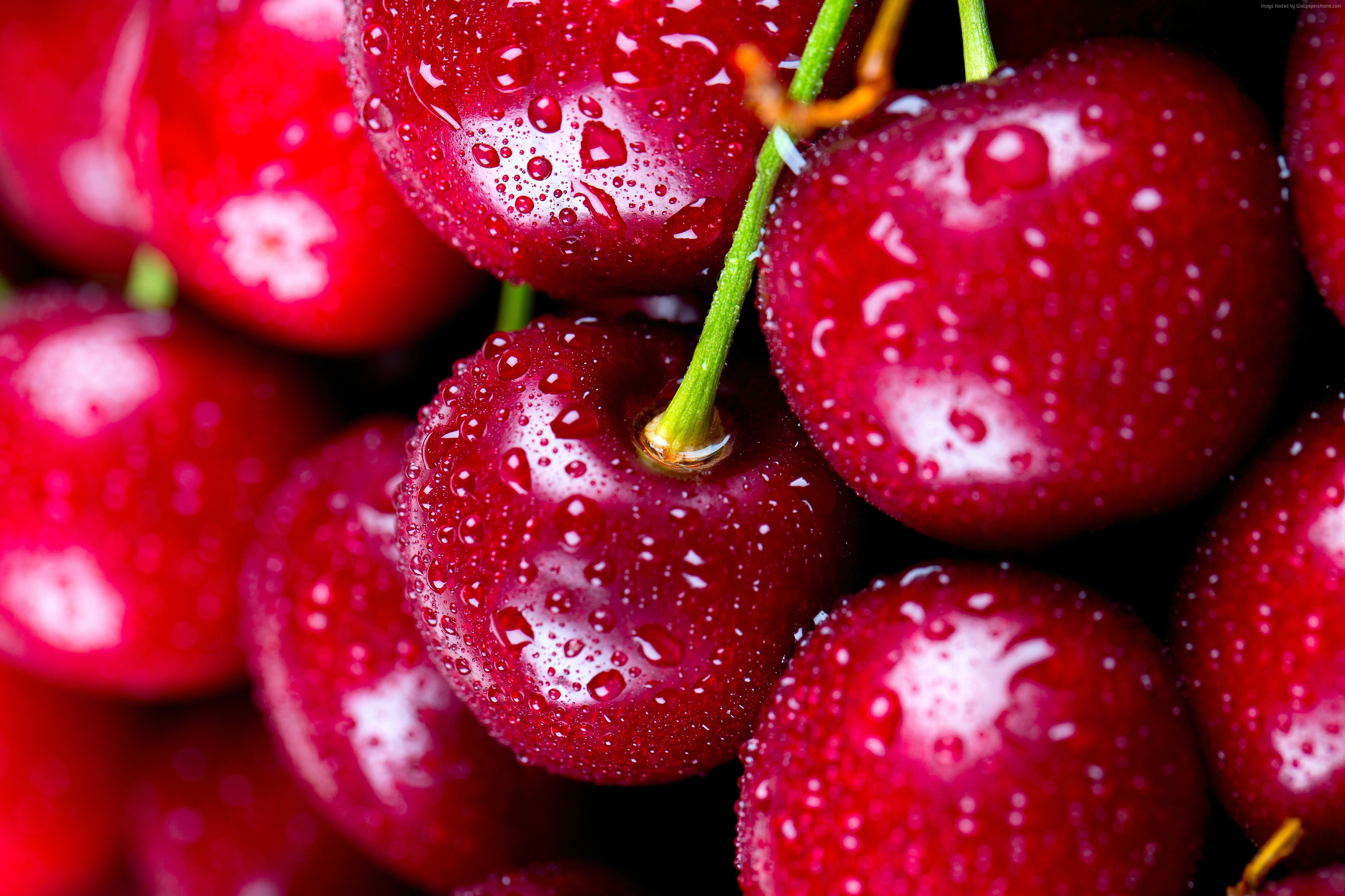 delicious, cherries, 4k Gallery HD Wallpaper