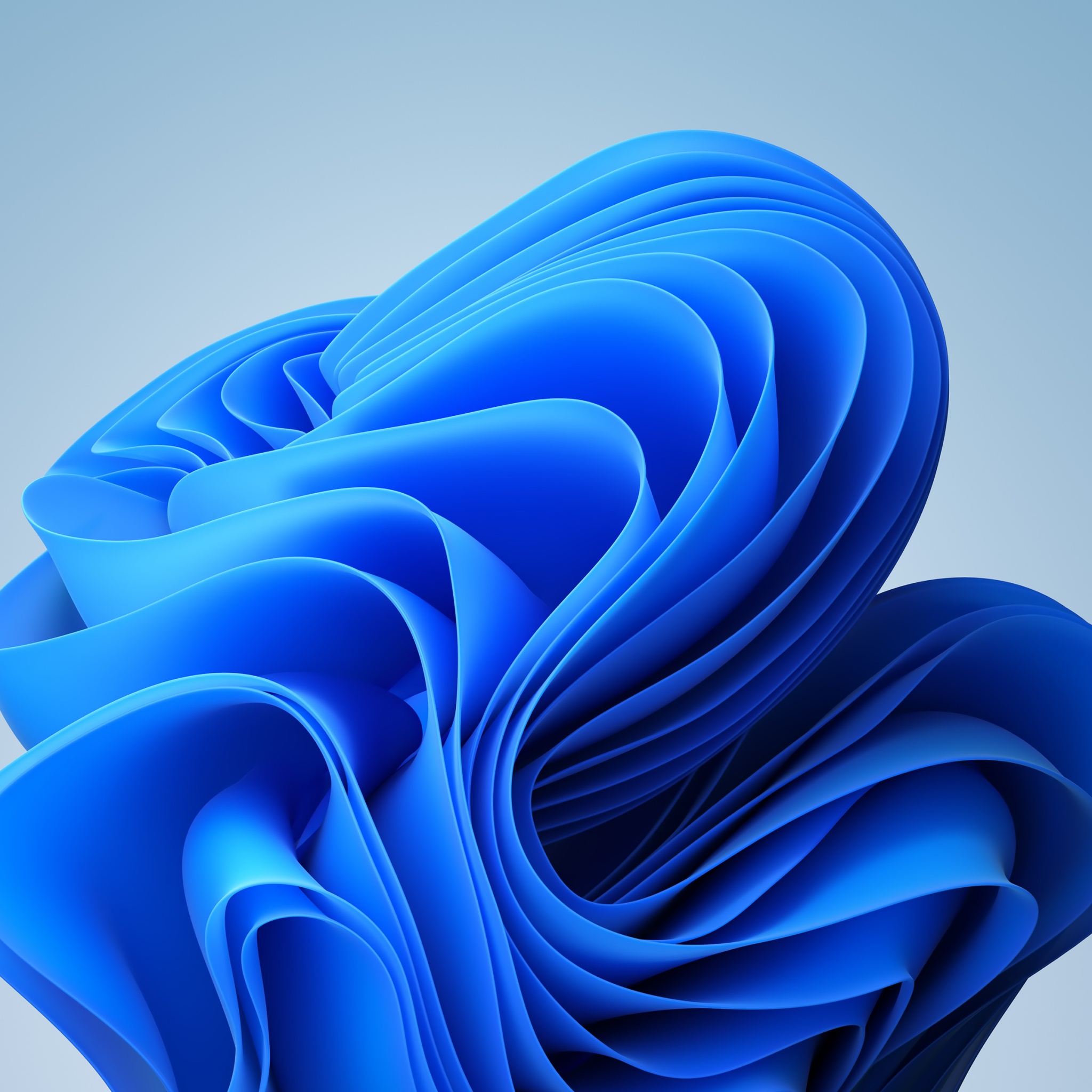 Windows 11 Bloom Blue Light Theme 4K Wallpaper
