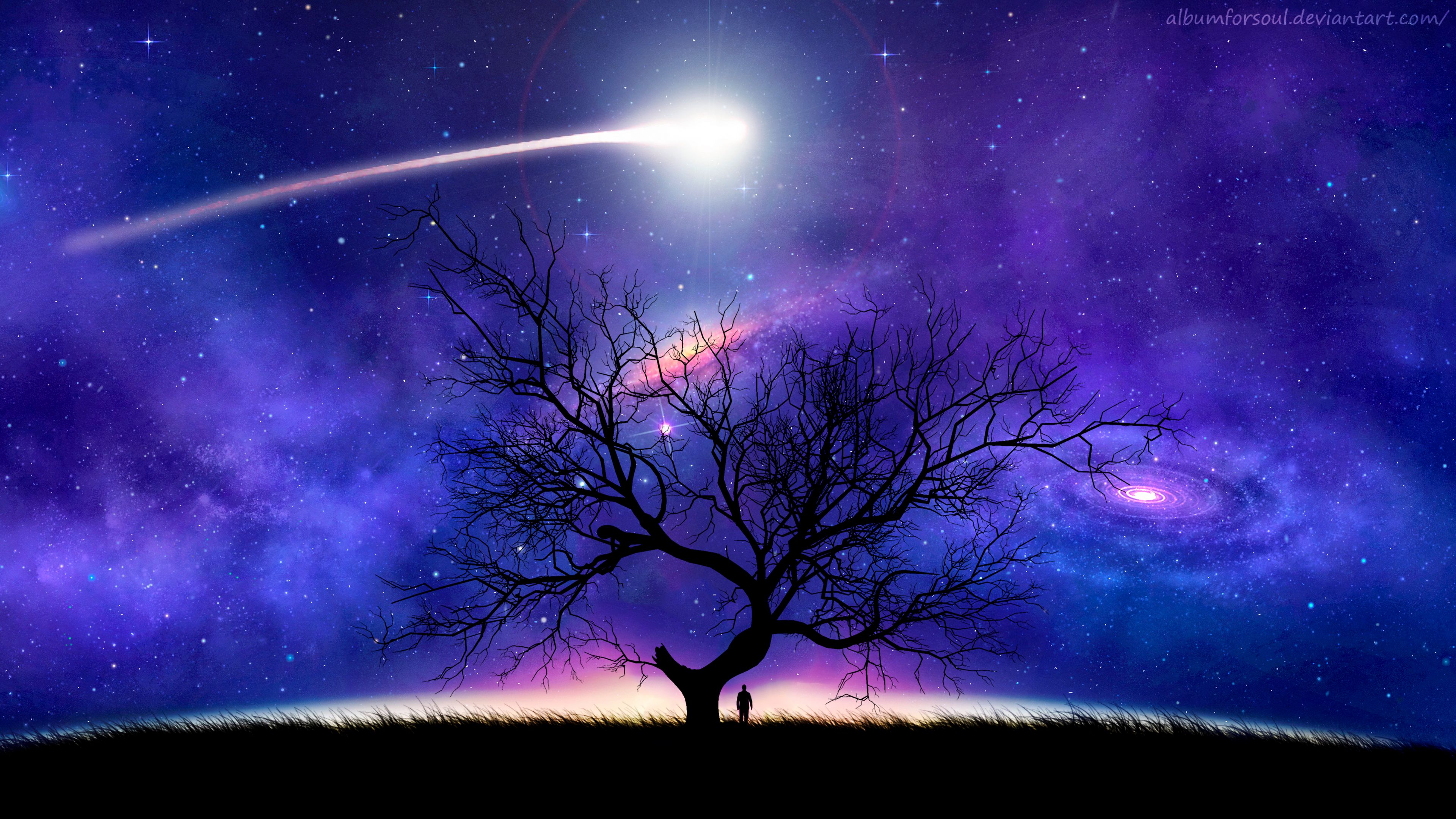 Download wallpaper 3840x2160 tree, silhouette, space, night, starry sky, comet 4k uhd 16:9 HD background