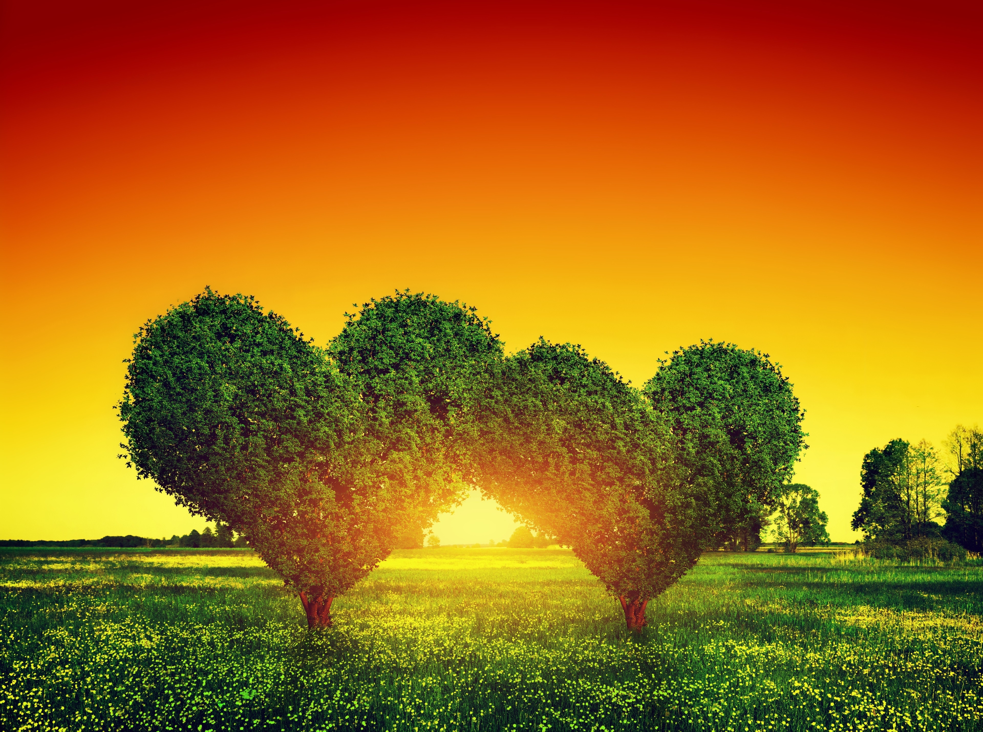 love image 4k wallpaper full screen 1080P, 2k, 4k HD wallpaper, background free download