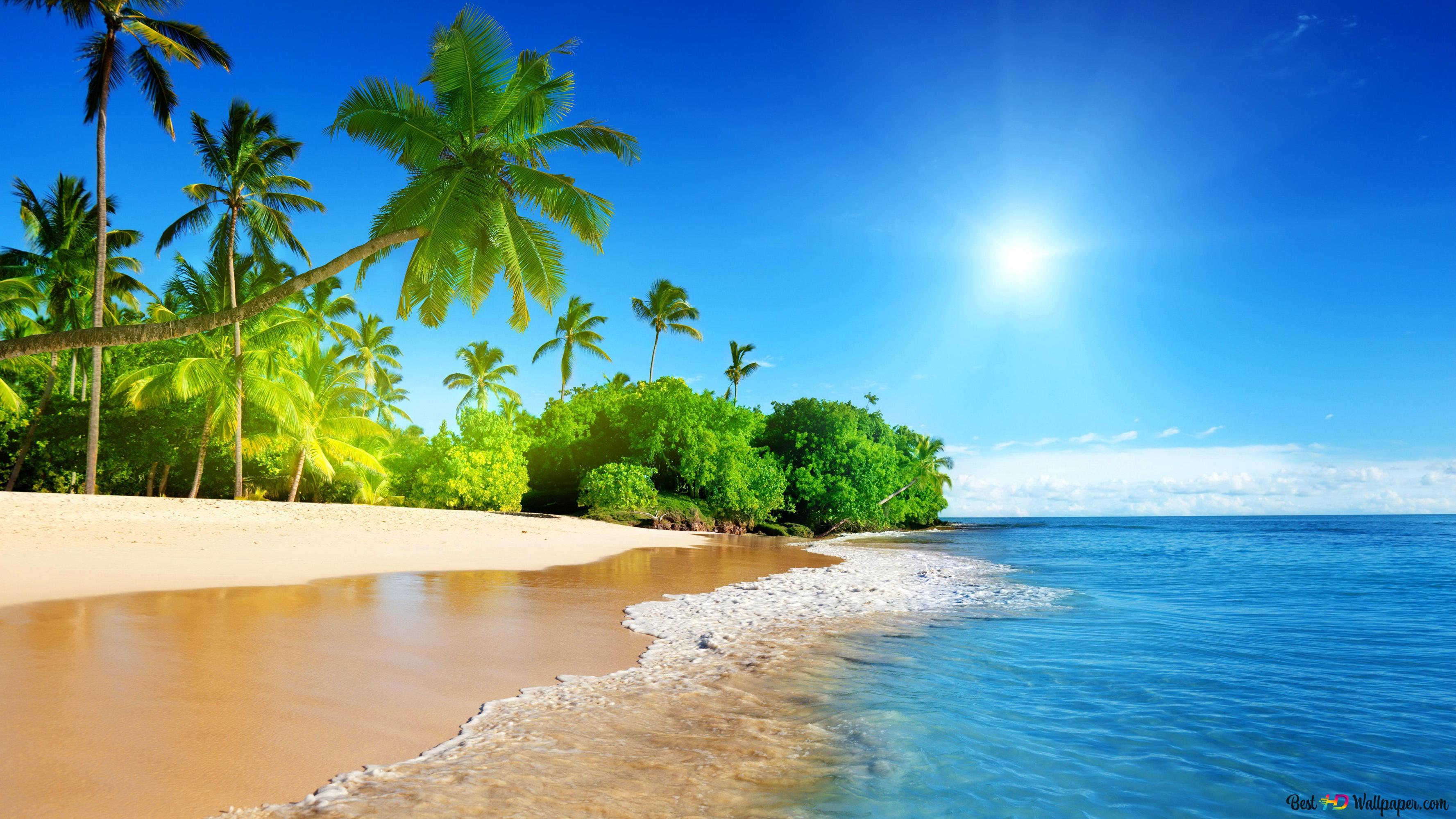 Colorful beach view 4K wallpaper download