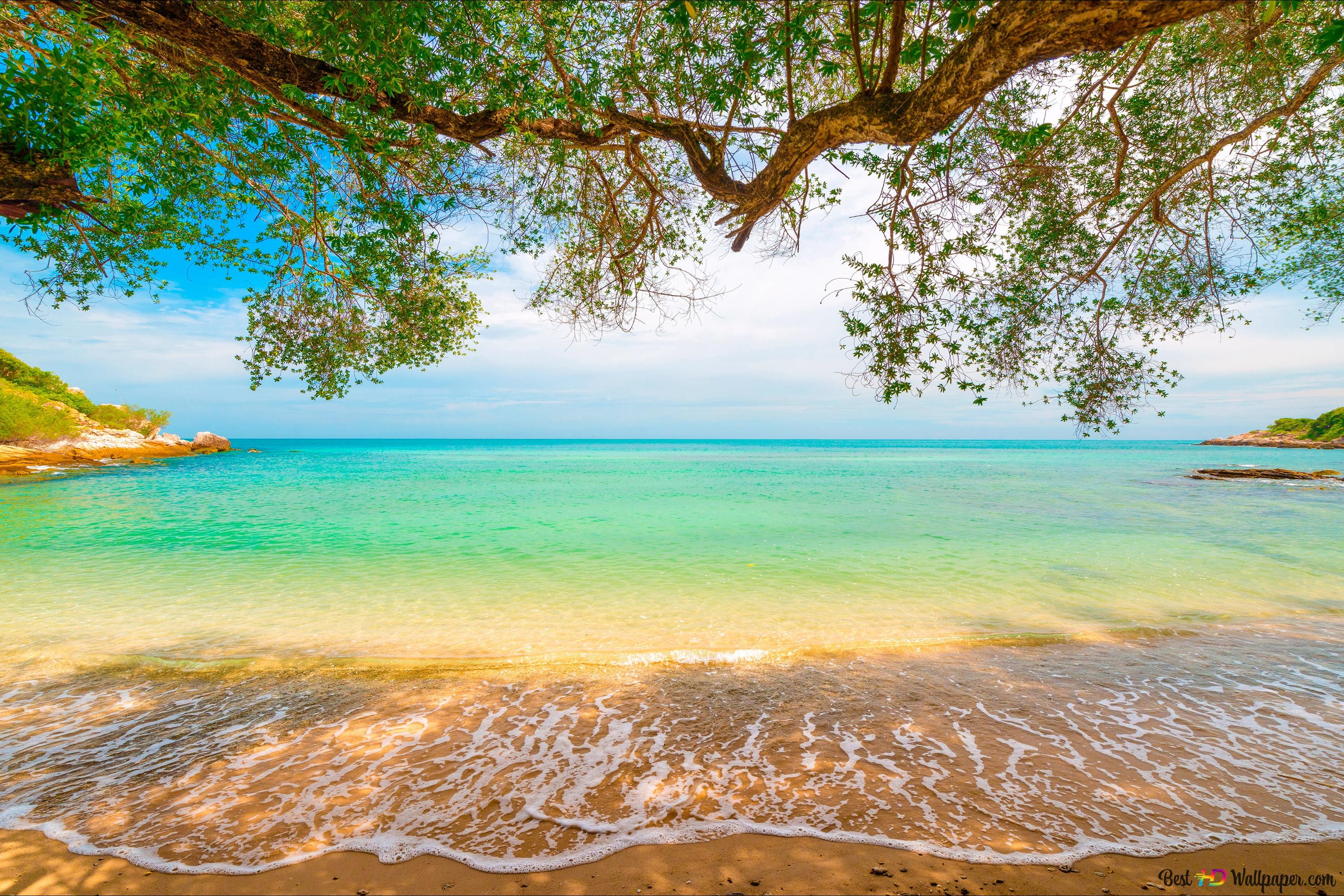 Beautiful beach shadow on the beach 4K wallpaper download