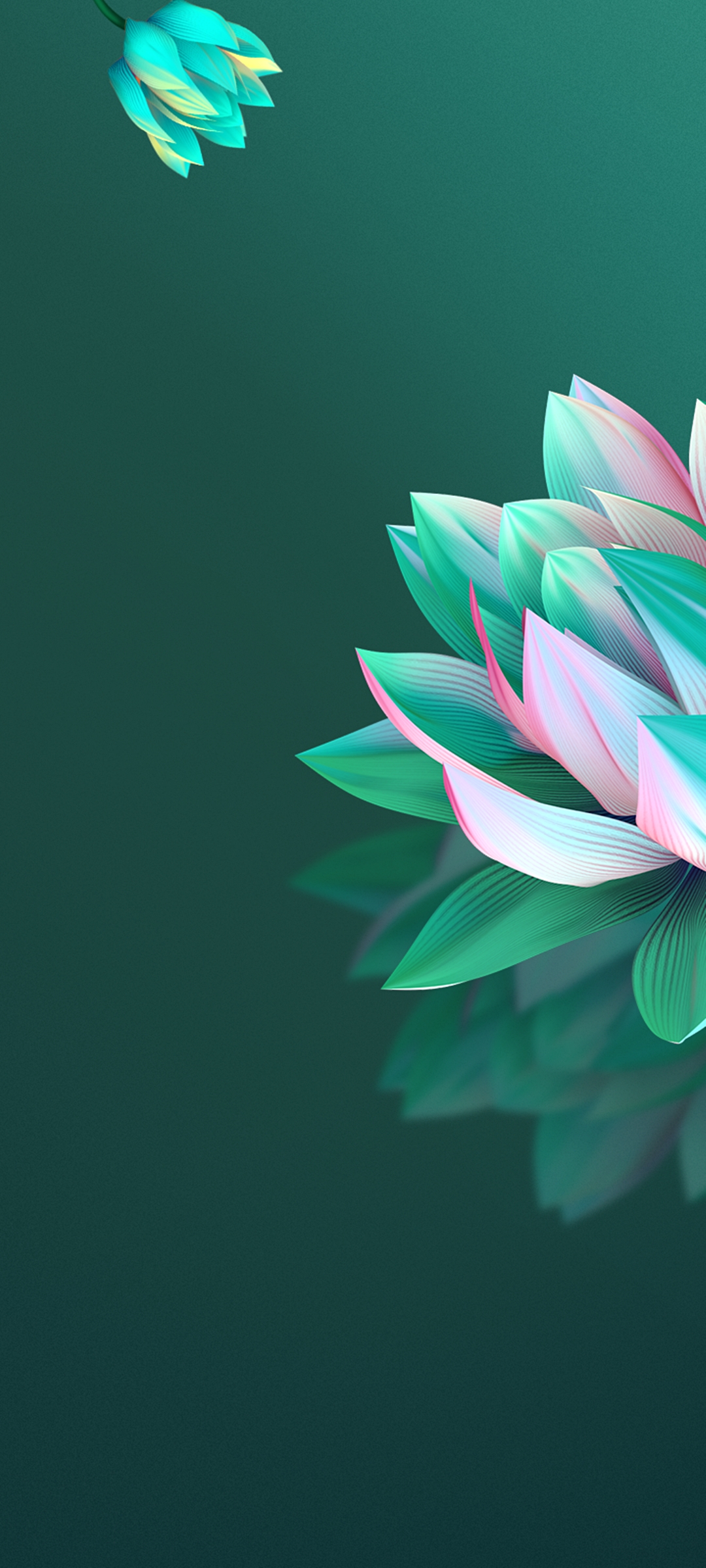 Beautiful phone wallpaper