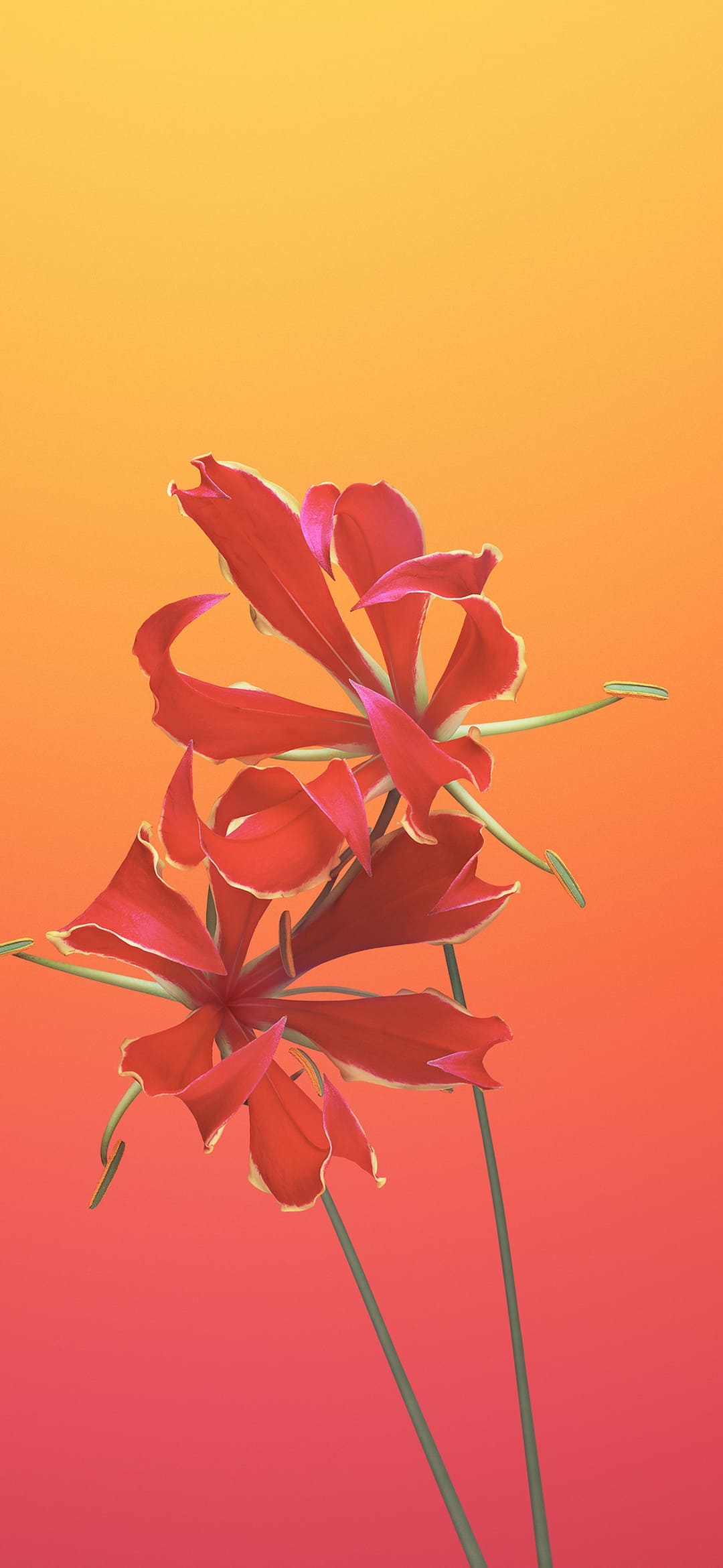 Flowers Wallpaper Flower Background Download