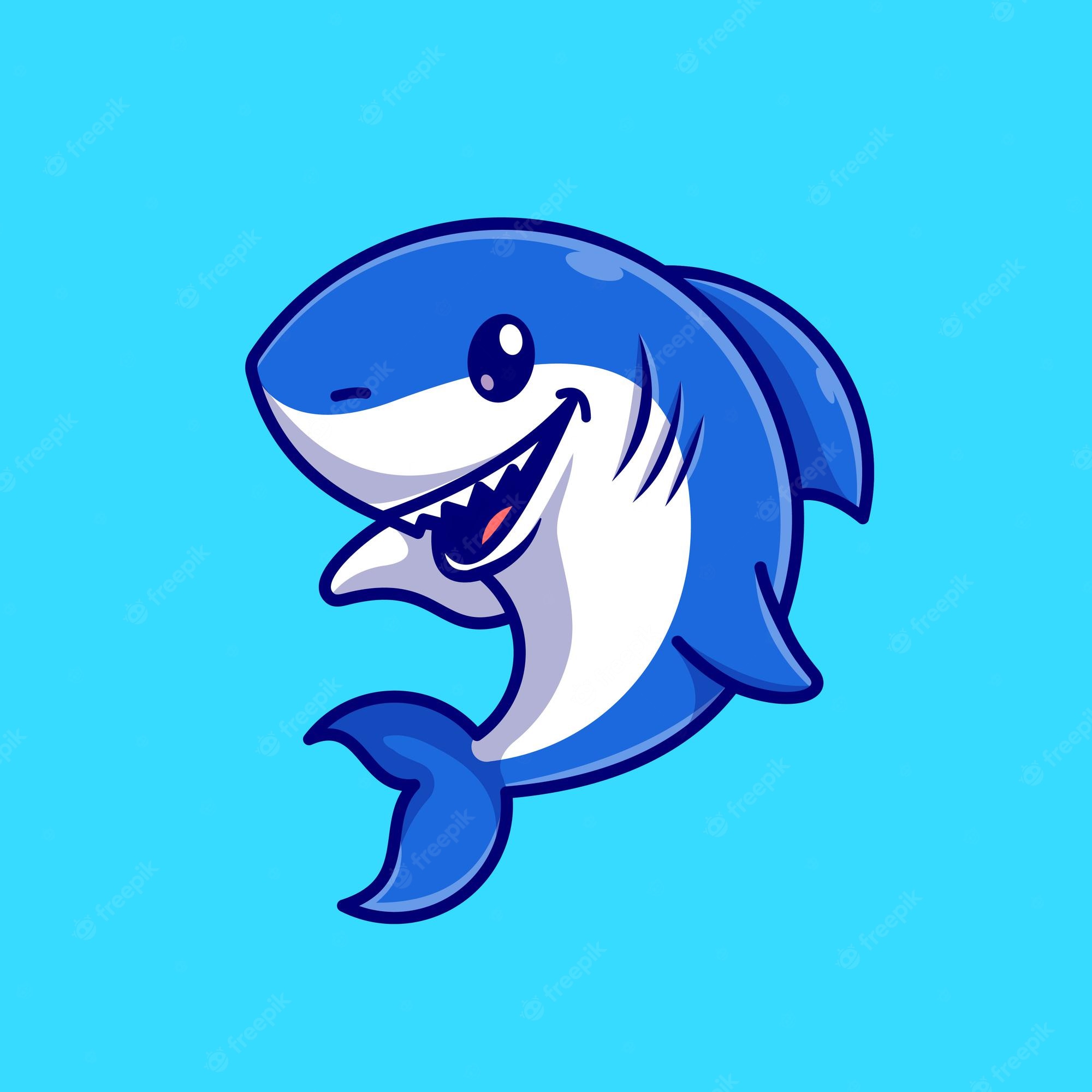 Cute Shark Image