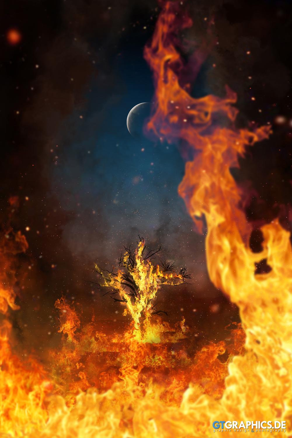 Burning Tree · Artworks · GTGRAPHICS