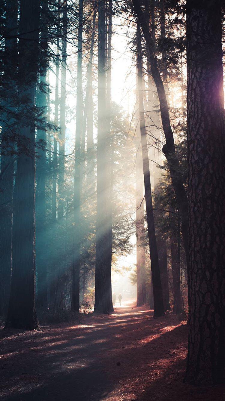 Cute Forest Wallpapers - Wallpaper Cave, image size:750x1333
