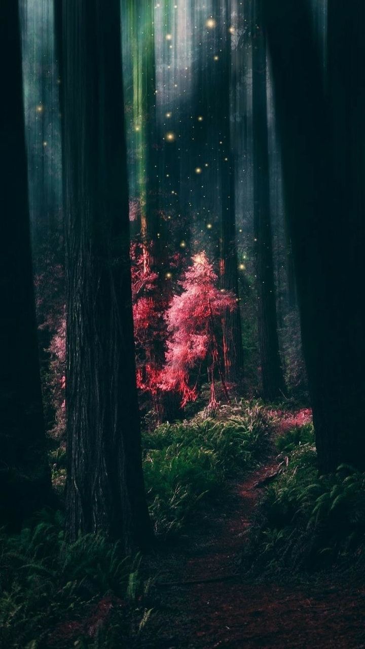 Beautiful nature wallpaper, Nature