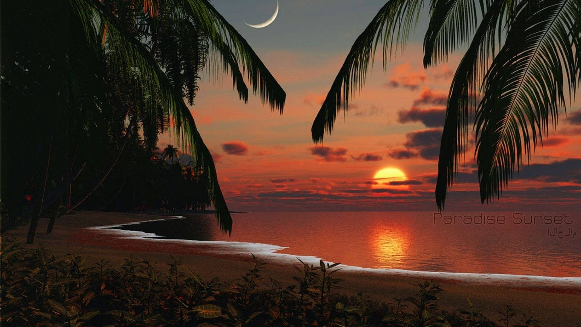 Download Tropical Beach Paradise Sunset Wallpaper