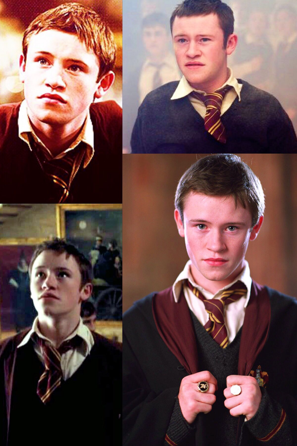 POTTER ⚡. Harry potter characters, Harry potter wallpaper, Harry potter draco malfoy