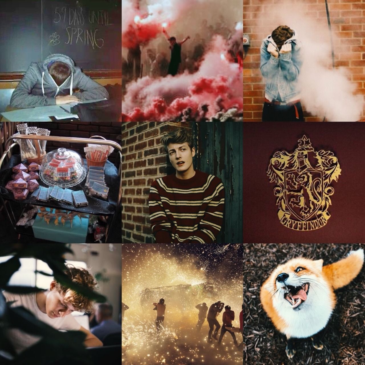 Seamus Finnigan aesthetic. Harry potter, Character wallpaper, Harry potter hogwarts houses