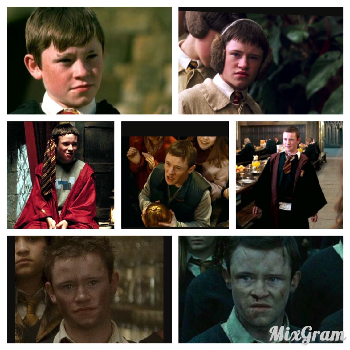Seamus Finnigan year by year. Harry potter, Fictional characters, Movie posters