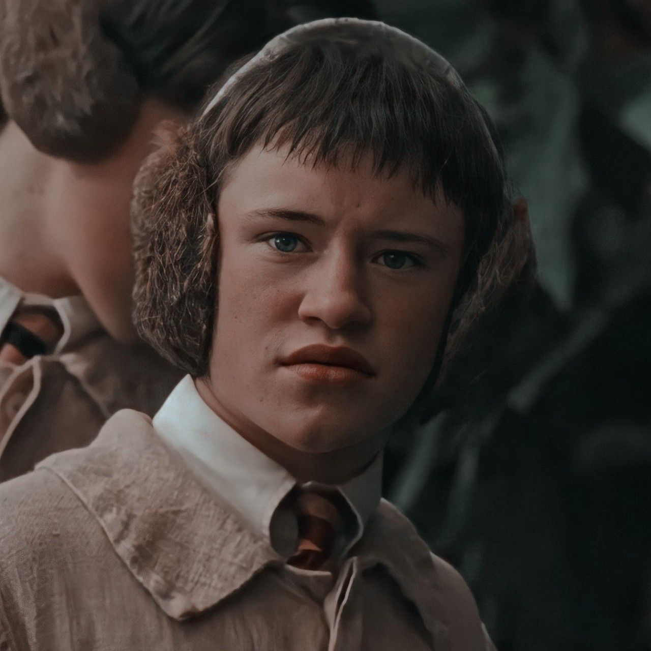 Seamus Finnigan Icon. Harry potter, Icon