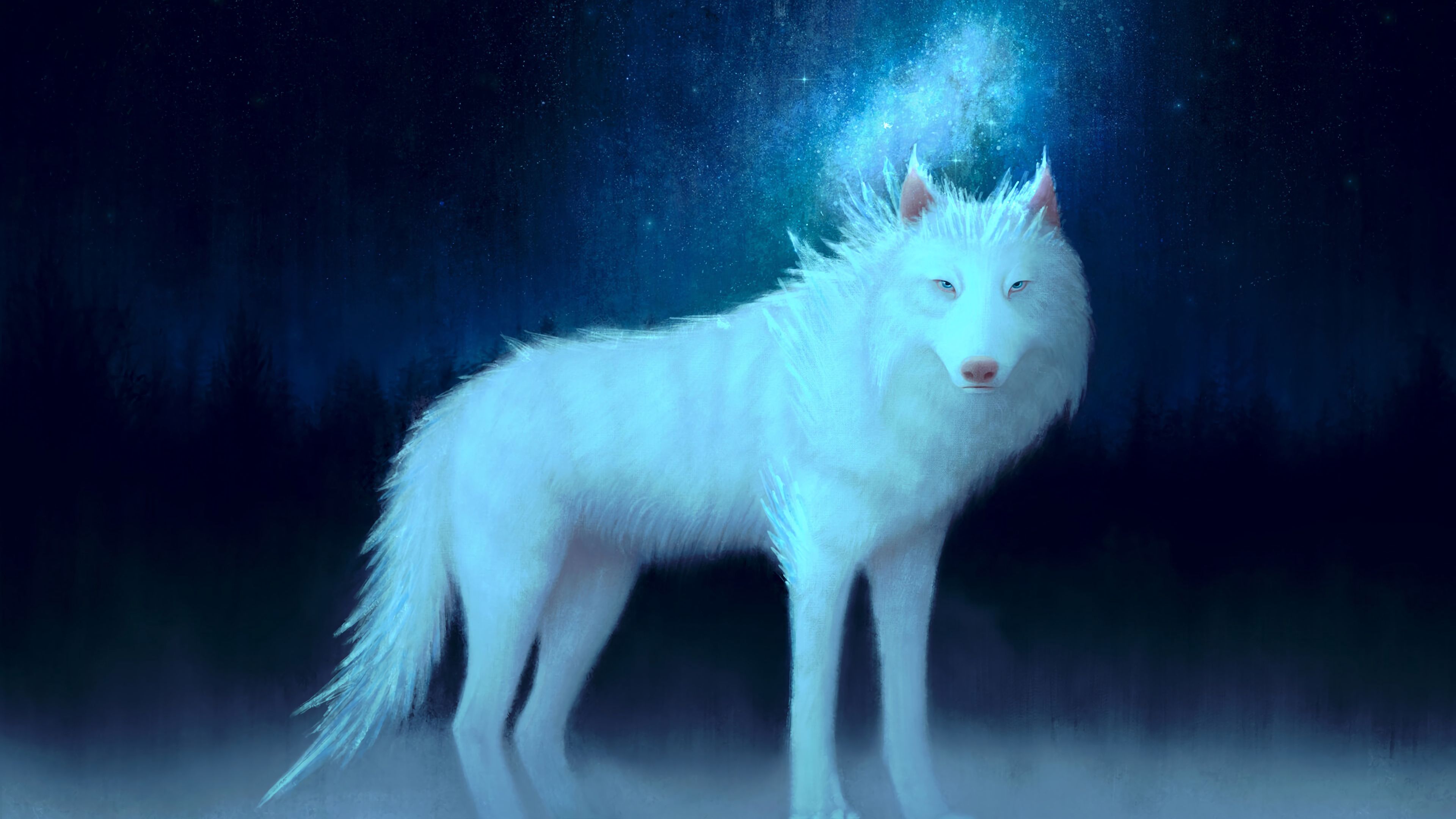 Wallpaper / wolf, white, art, animal, 4k free download