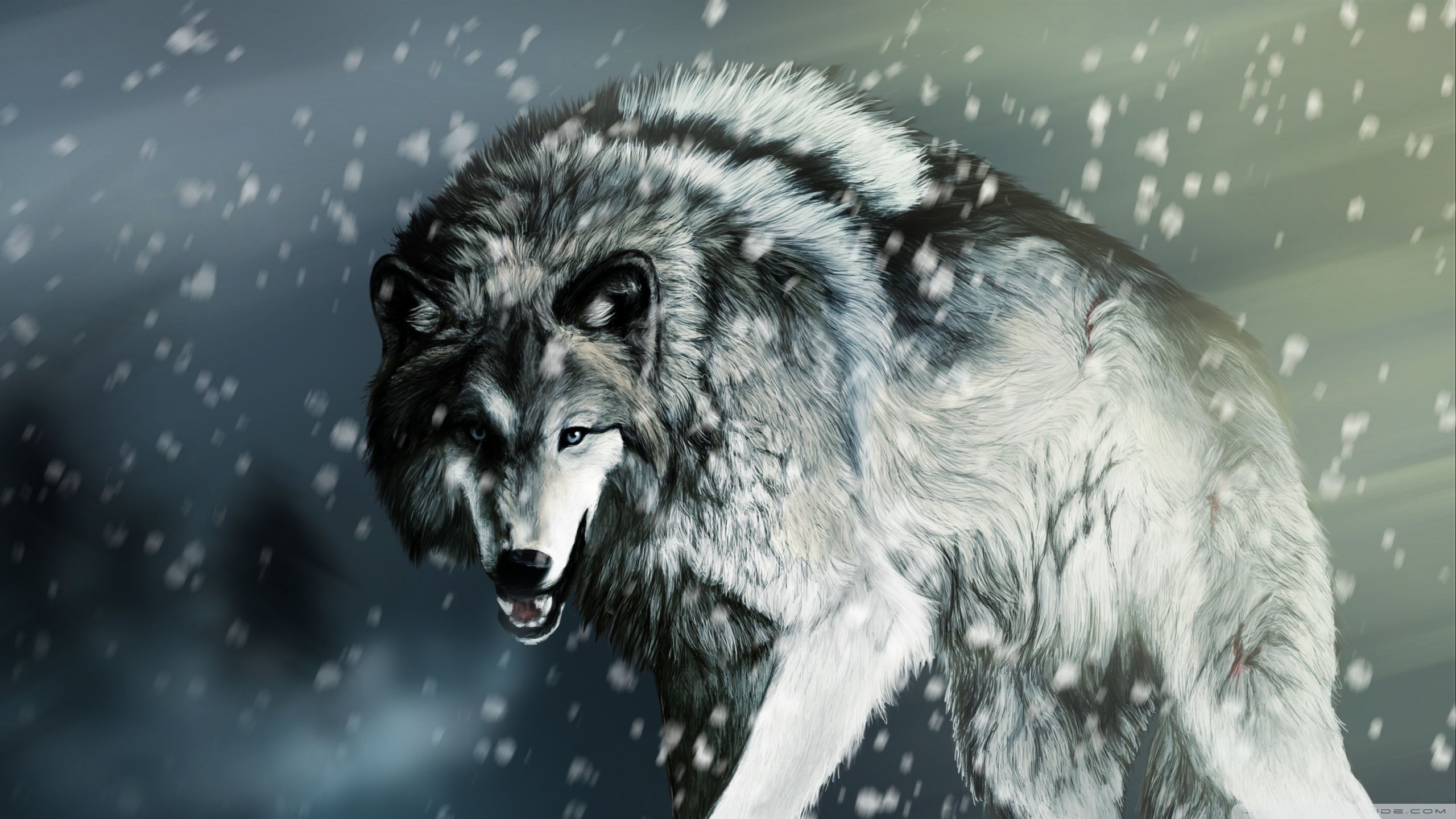 Wolf Desktop Wallpaper