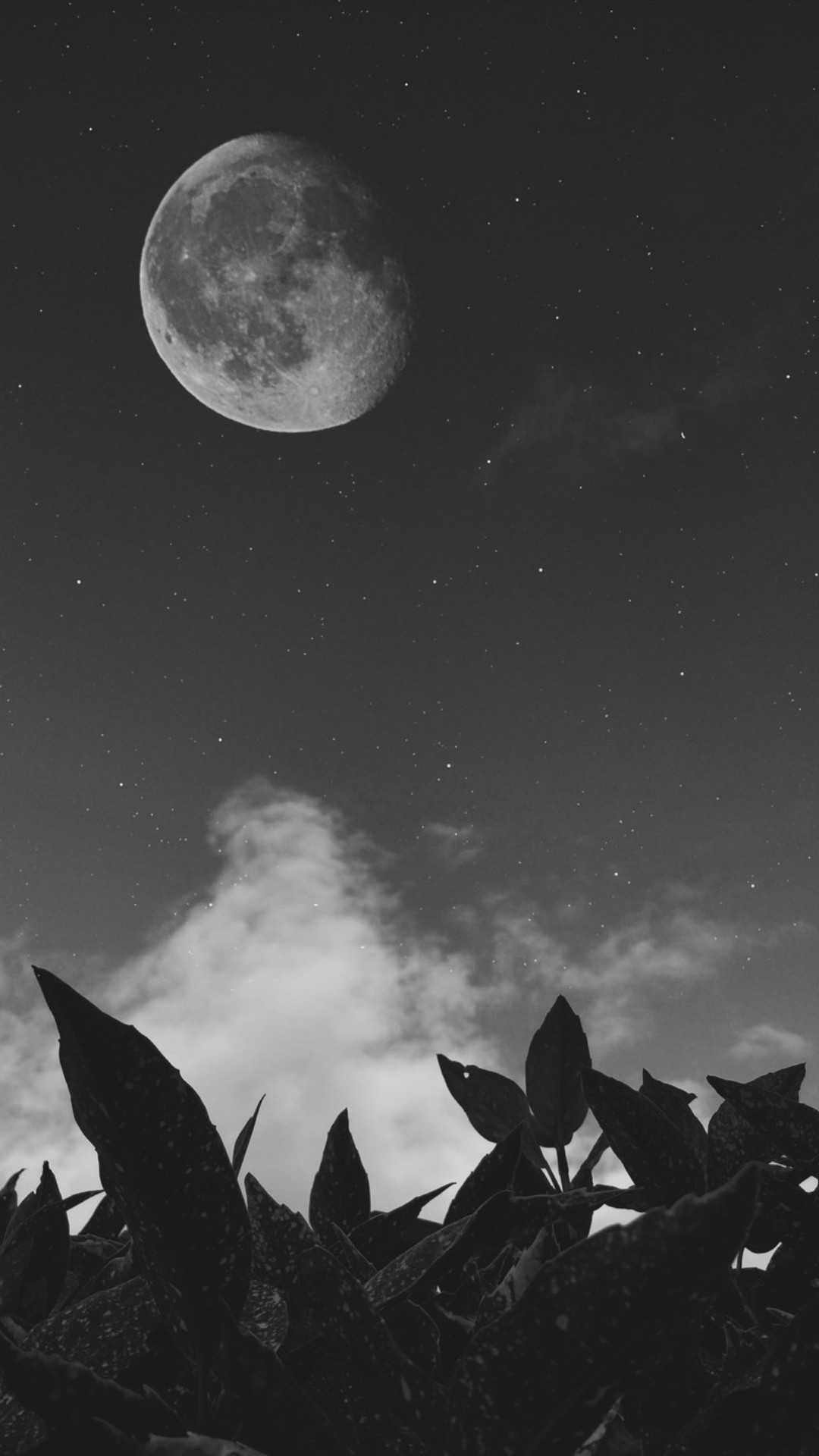 Moon Wallpaper Moon Wallpaper Download