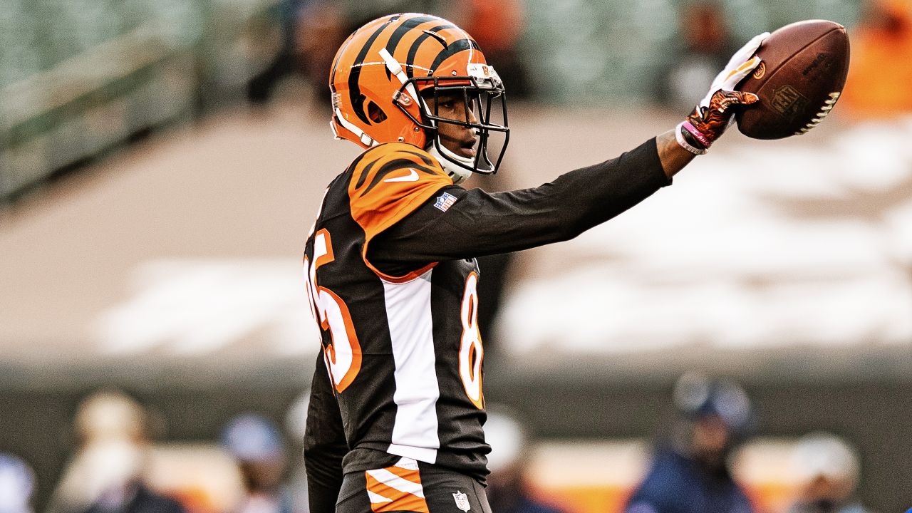 Photo Gallery. Best 2020 Image Of Tee Higgins