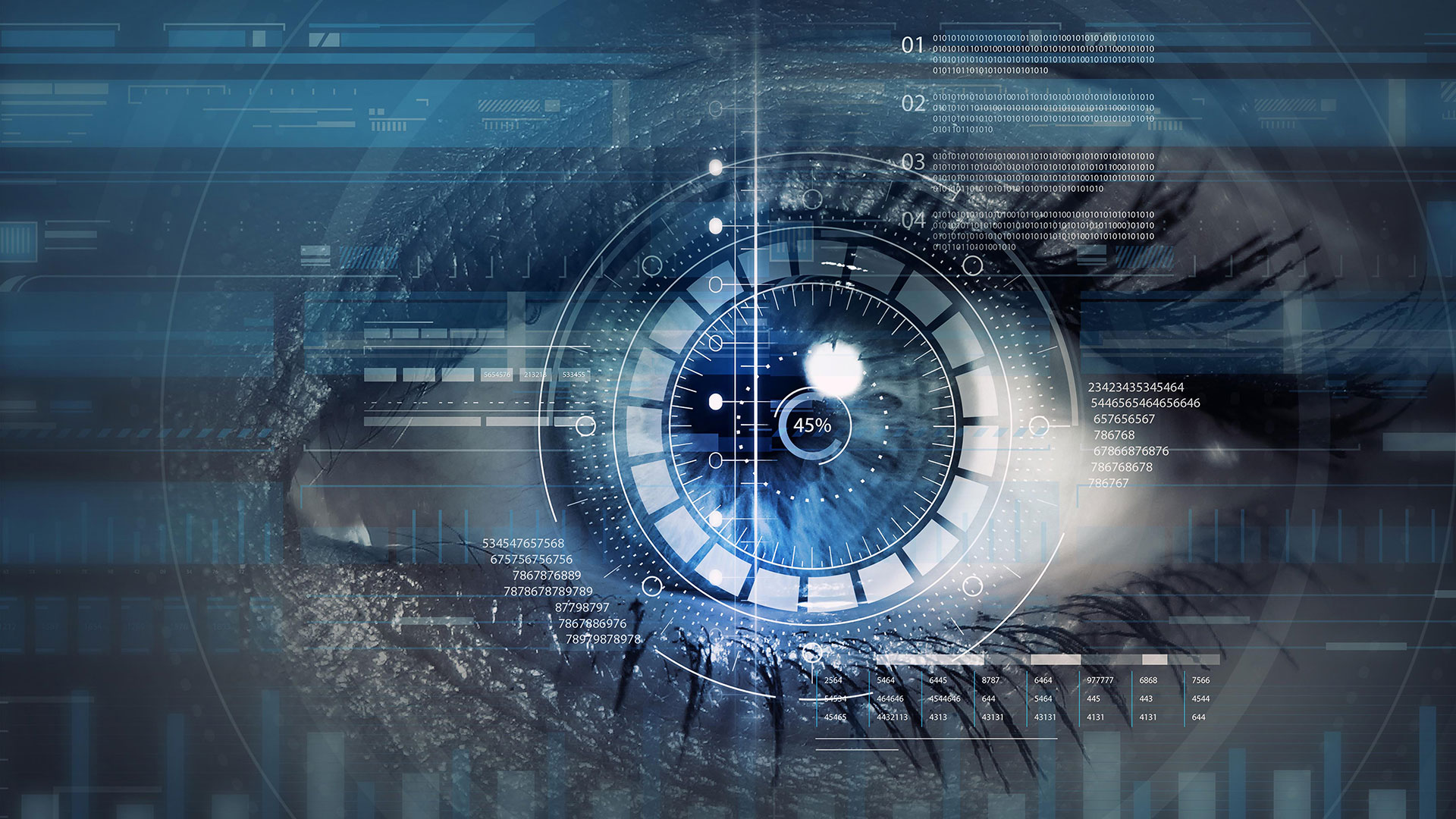 Red Team Assessments