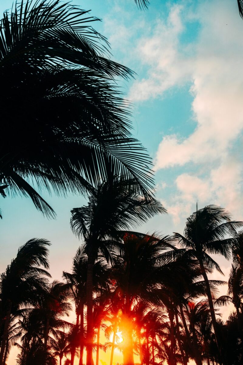 Summer Wallpaper For IPhone. Sun Filled Background For Summer