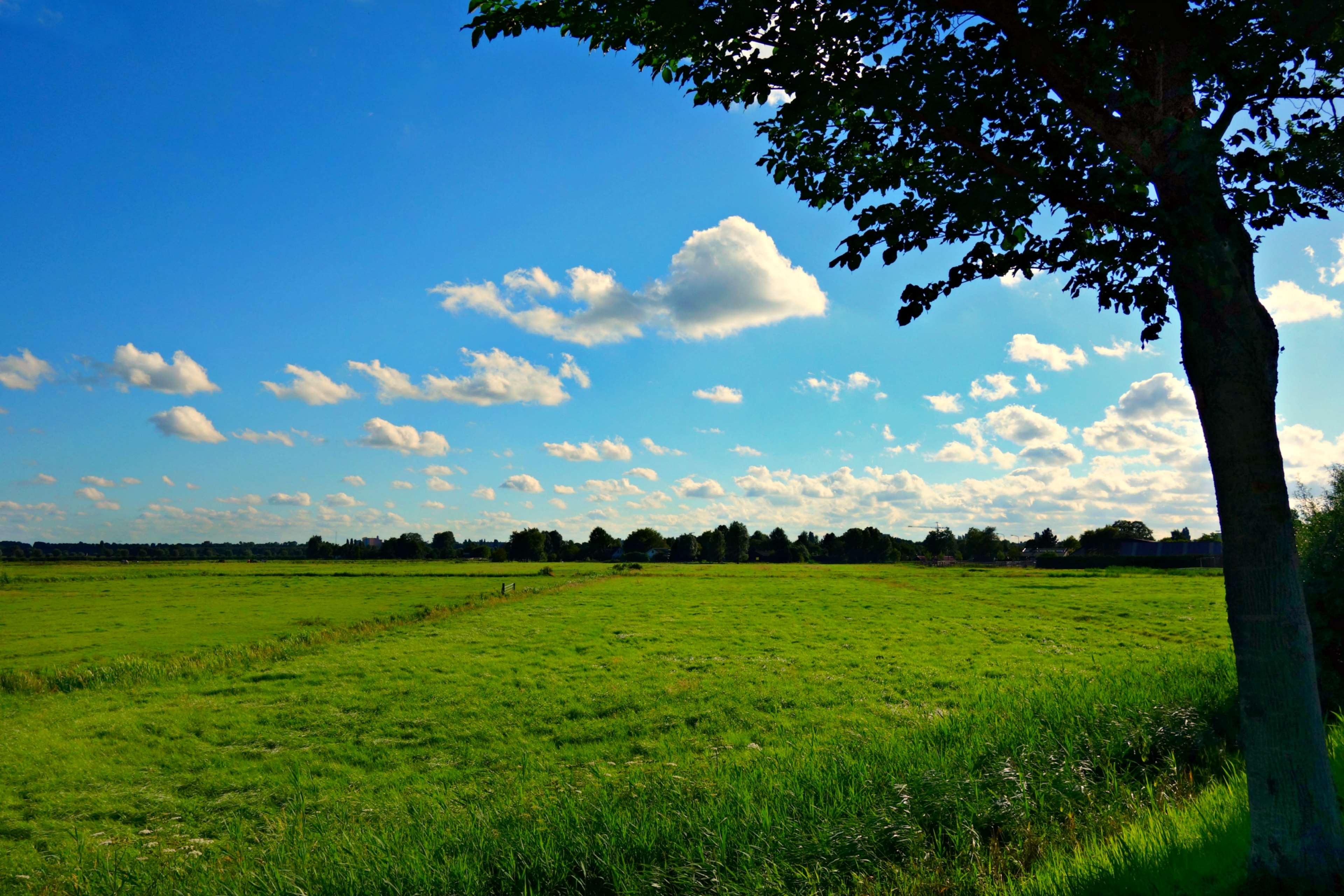 clouds, countryside, field, grass, landscape, meadow, rural, sky, sunny 4k wallpaper