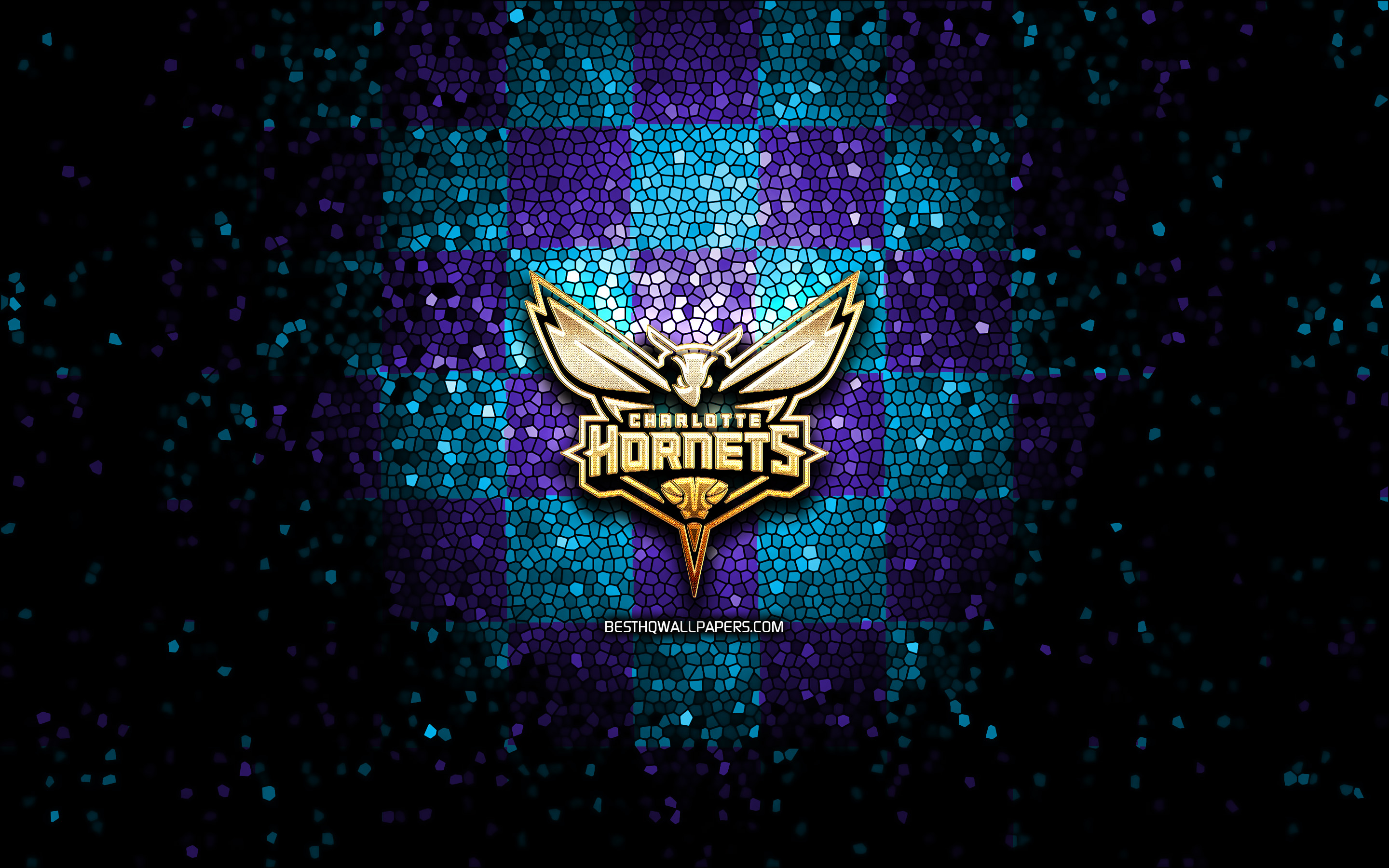 Charlotte Hornets Wallpapers - Wallpaper Cave