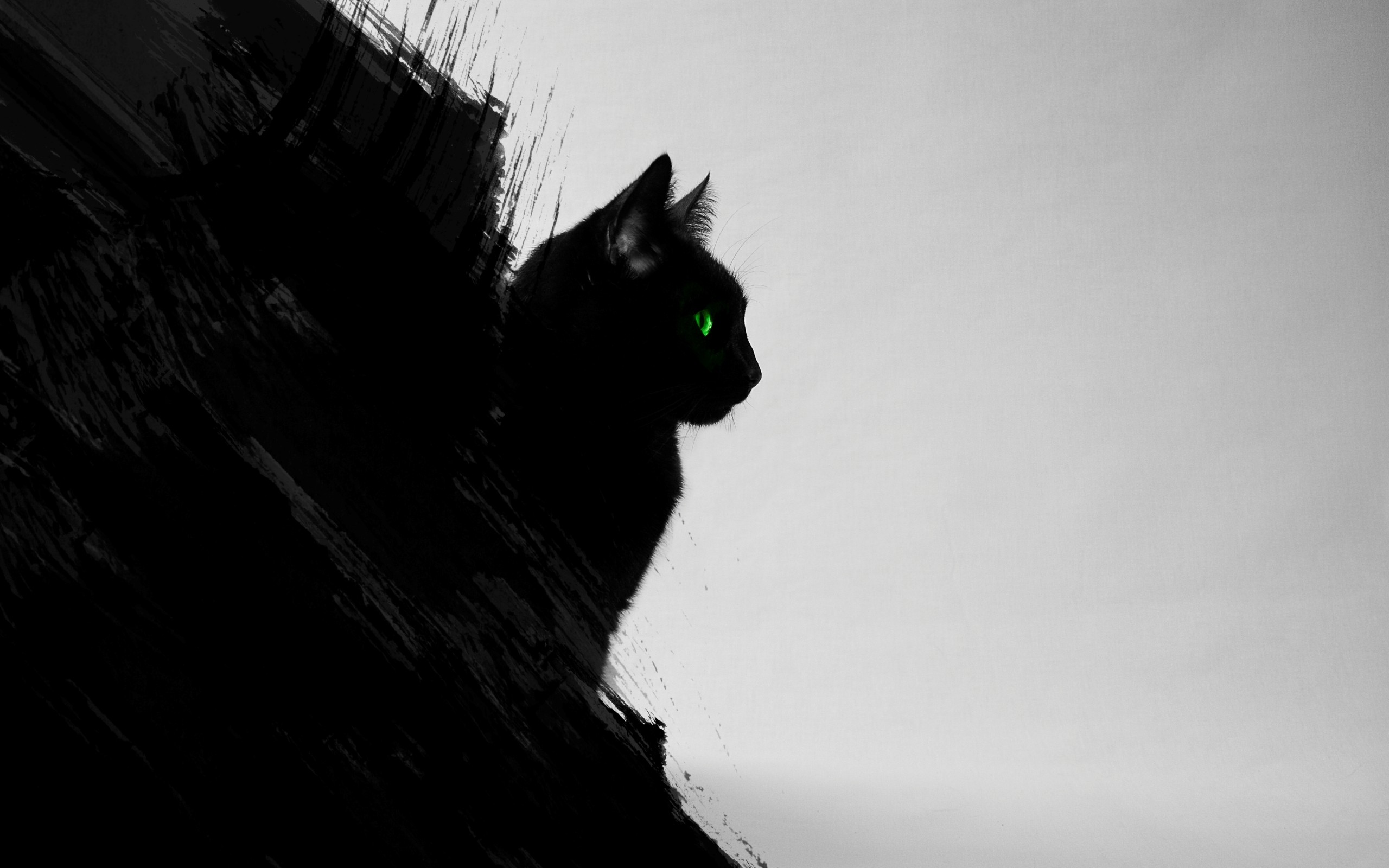 black cats, animals, cat, digital art, green eyes, artwork, black, gray Gallery HD Wallpaper