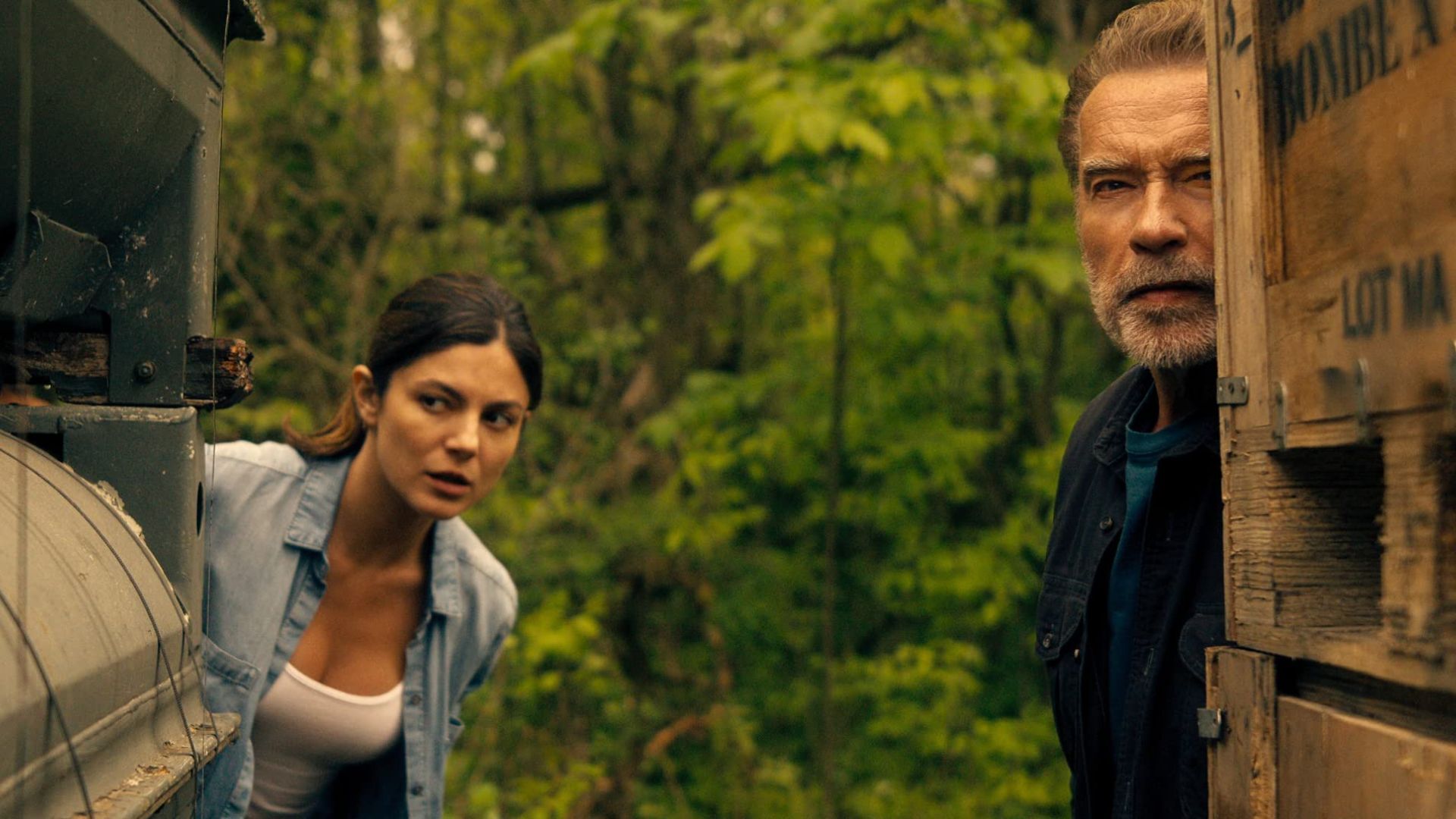 FUBAR: New Arnold Schwarzenegger Series Is Coming To Netflix