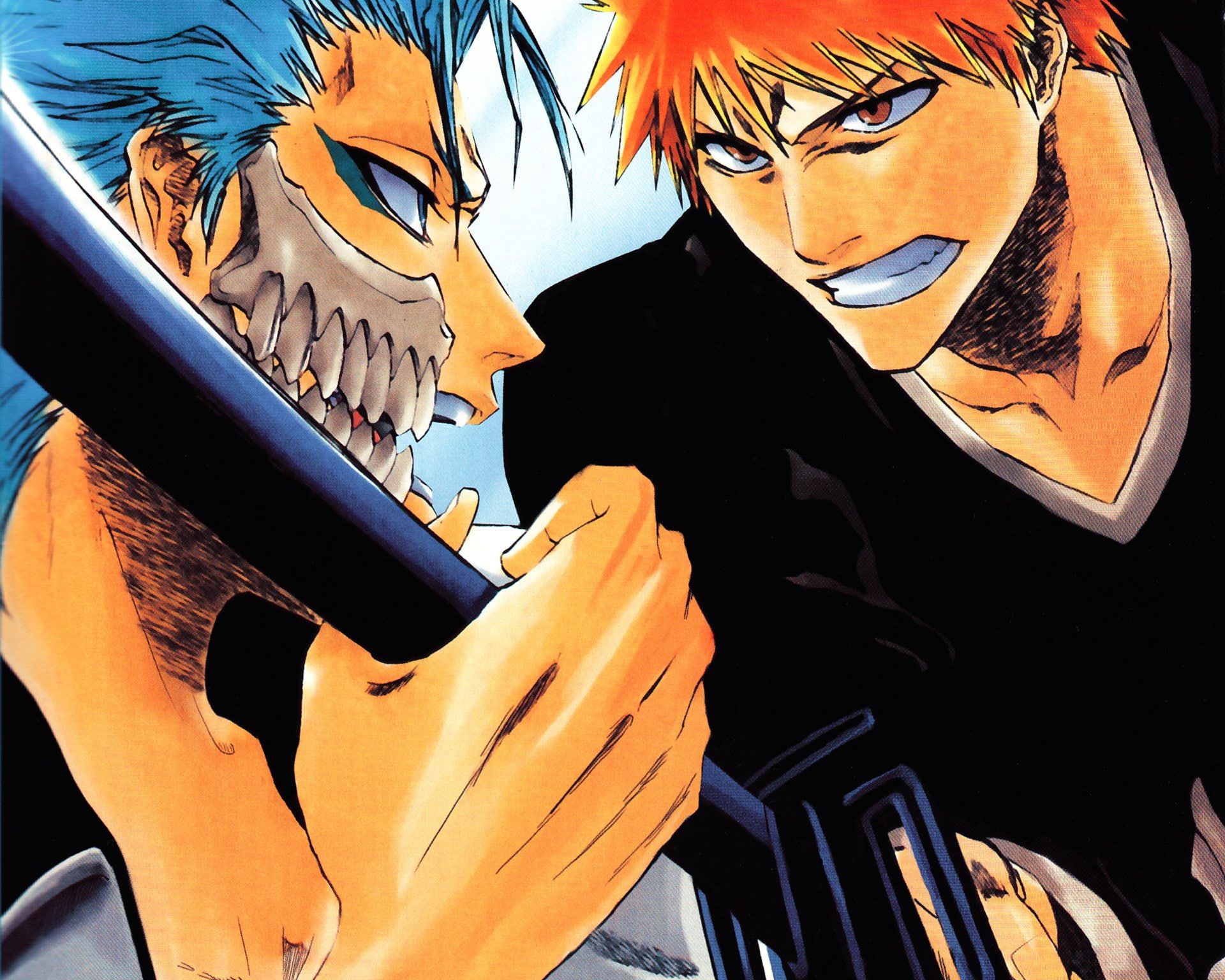 Bleach Grimmjow Jaegerjaquez Ichigo Kurosaki P #wallpaper #hdwallpaper #desktop. Bleach anime, Anime, Anime canvas art