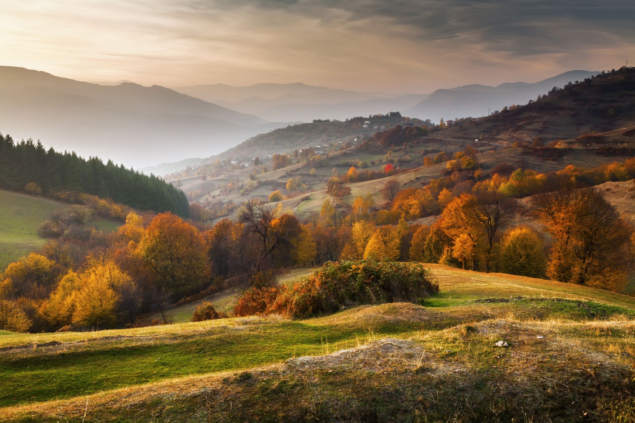 Best Fall Instagram Captions & Cute Autumn Captions