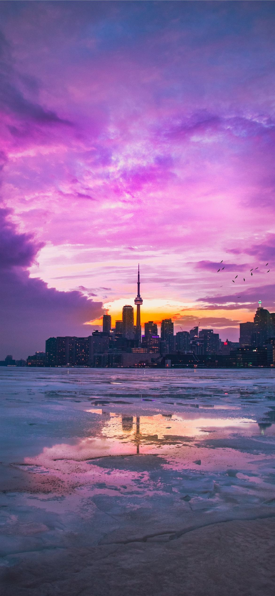 Pink Sky In Urban City 5K HD Nature 4K Image Phot. iPhone Wallpaper Free Download