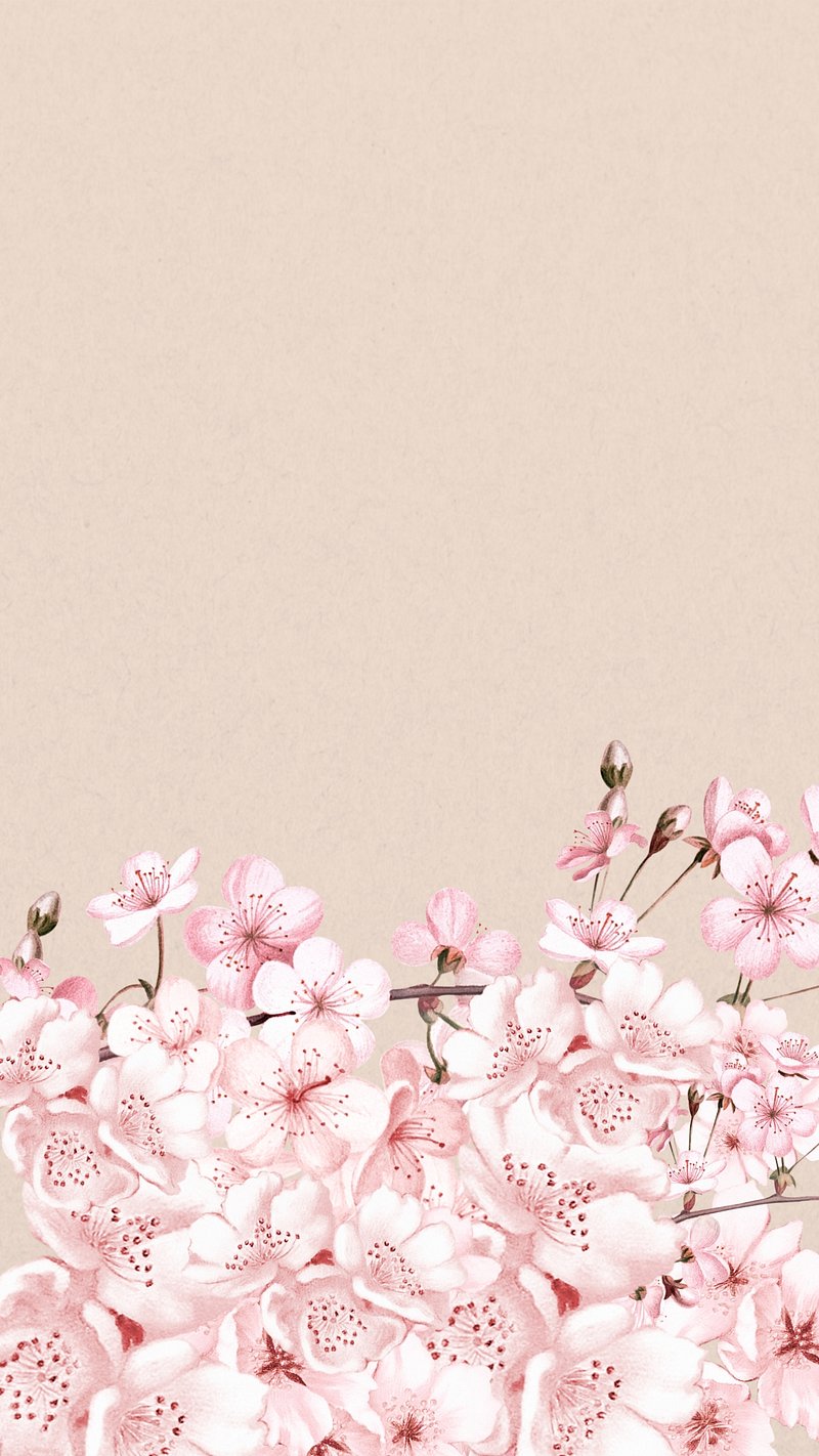 iPhone Wallpaper Pink Wallpaper