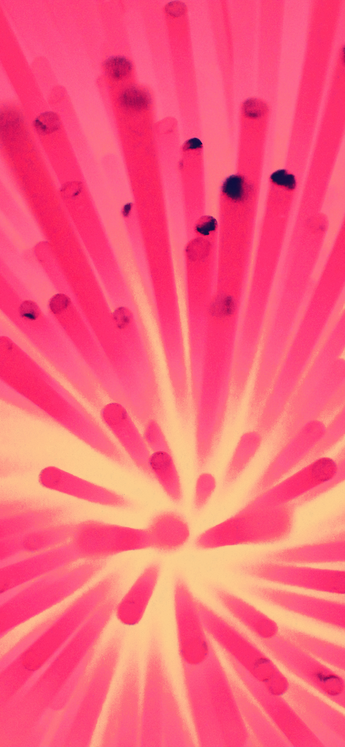 iPhone X wallpaper. light line pink pattern background