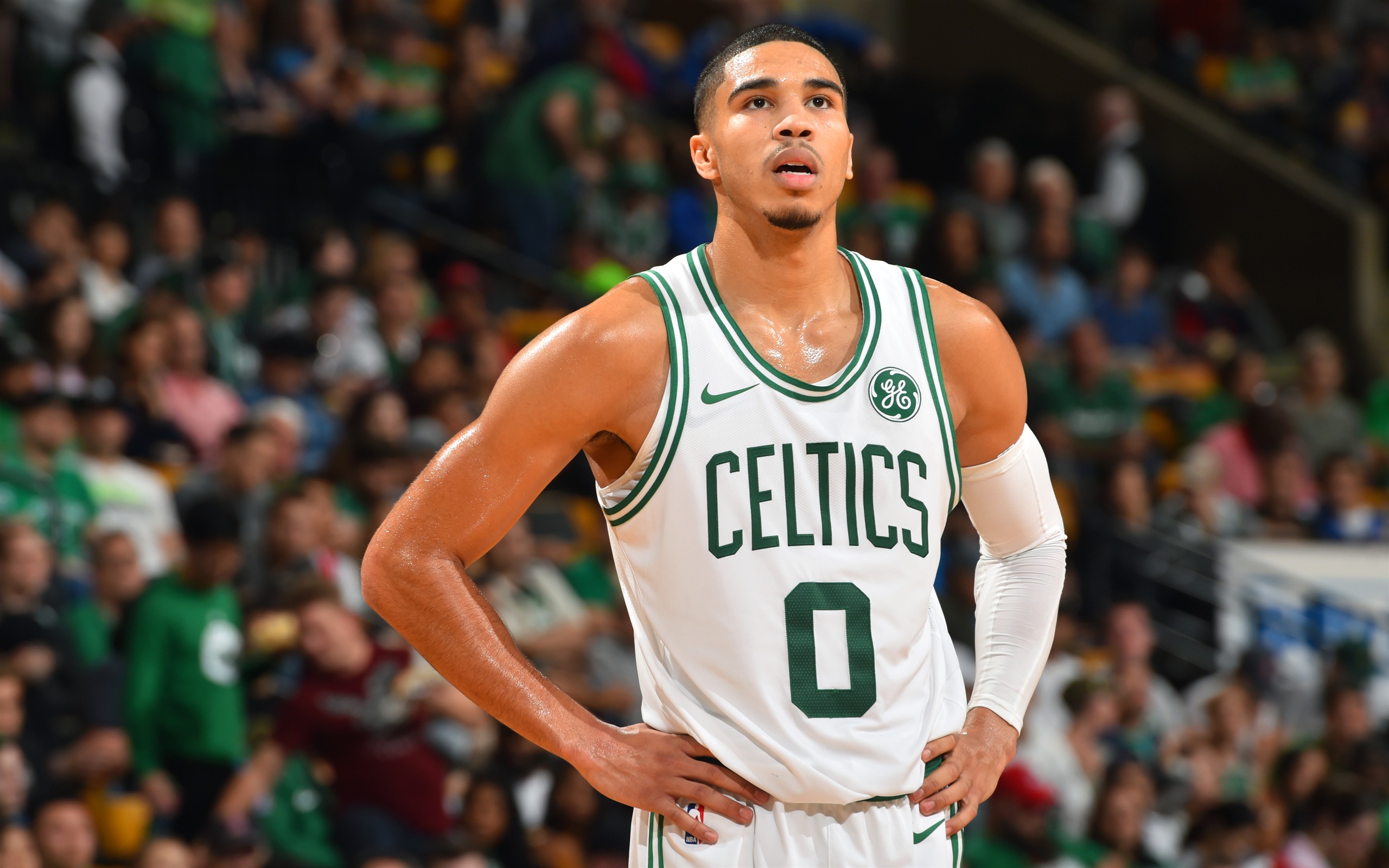 Jayson Tatum NBA 2017 2018 4K Wallpaper