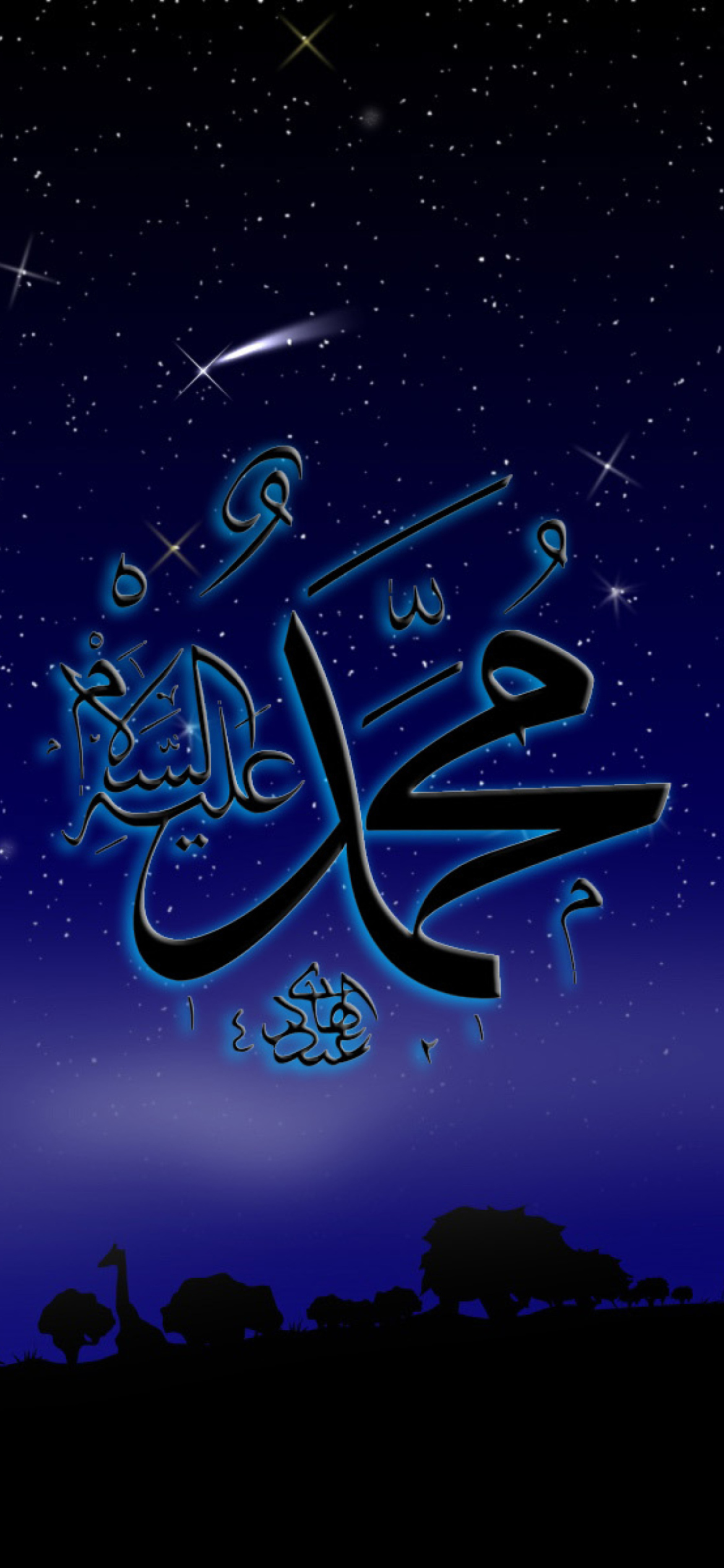 Allah Muhammad Islamic Wallpaper for iPhone 12 Pro